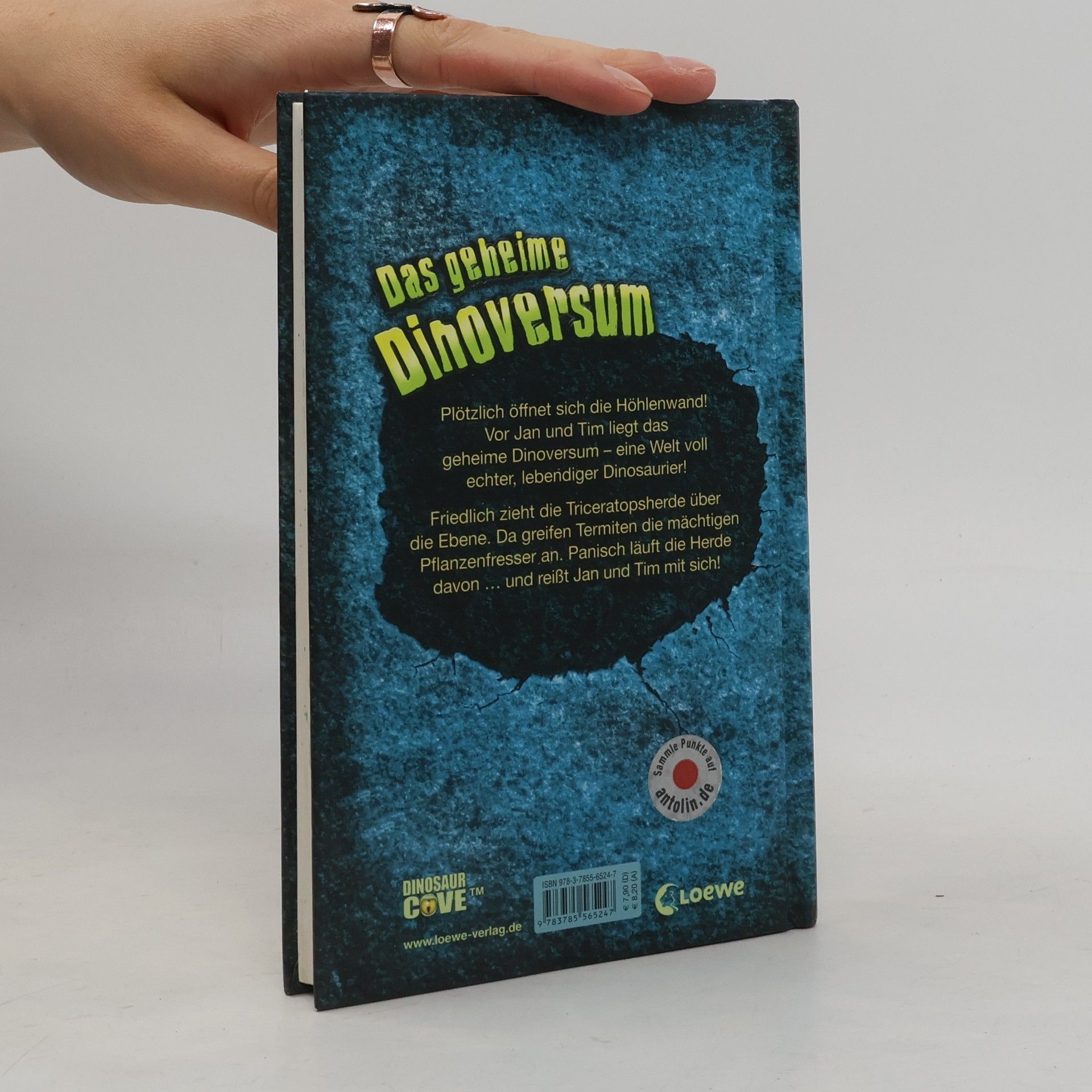 Hayley Daze Das geheime Dinoversum - Die Flucht des Triceratops