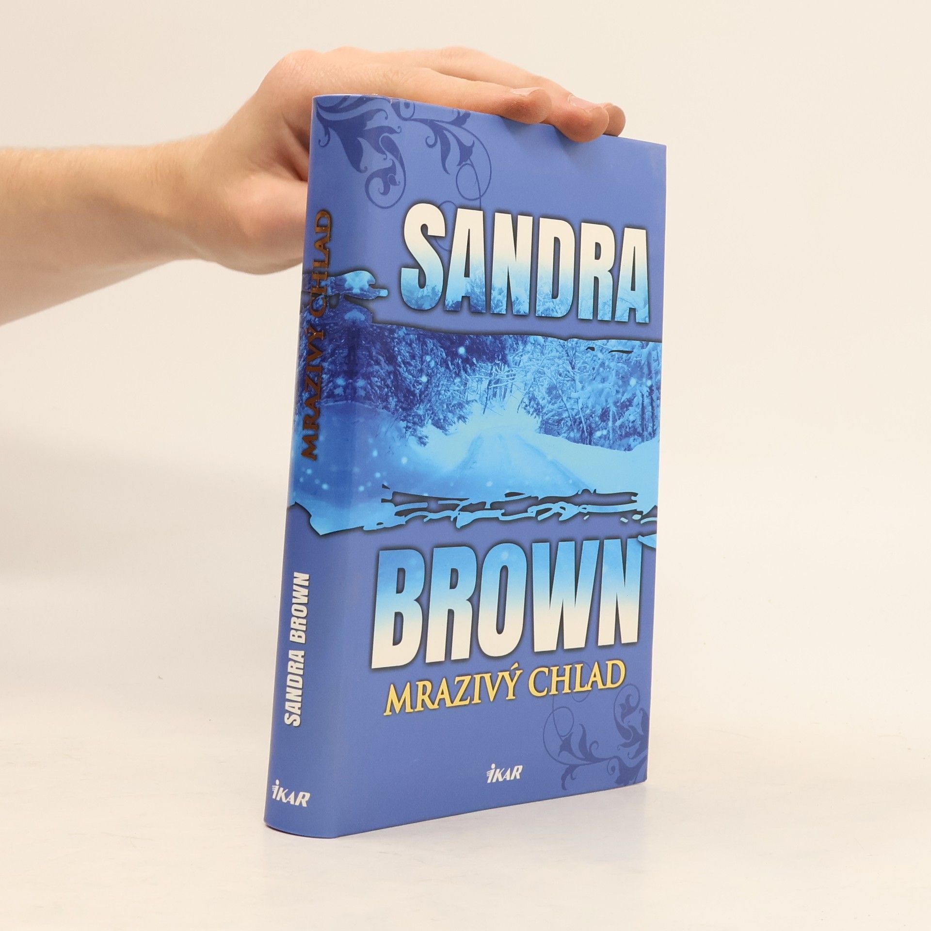 Sandra Brown Mrazivý chlad