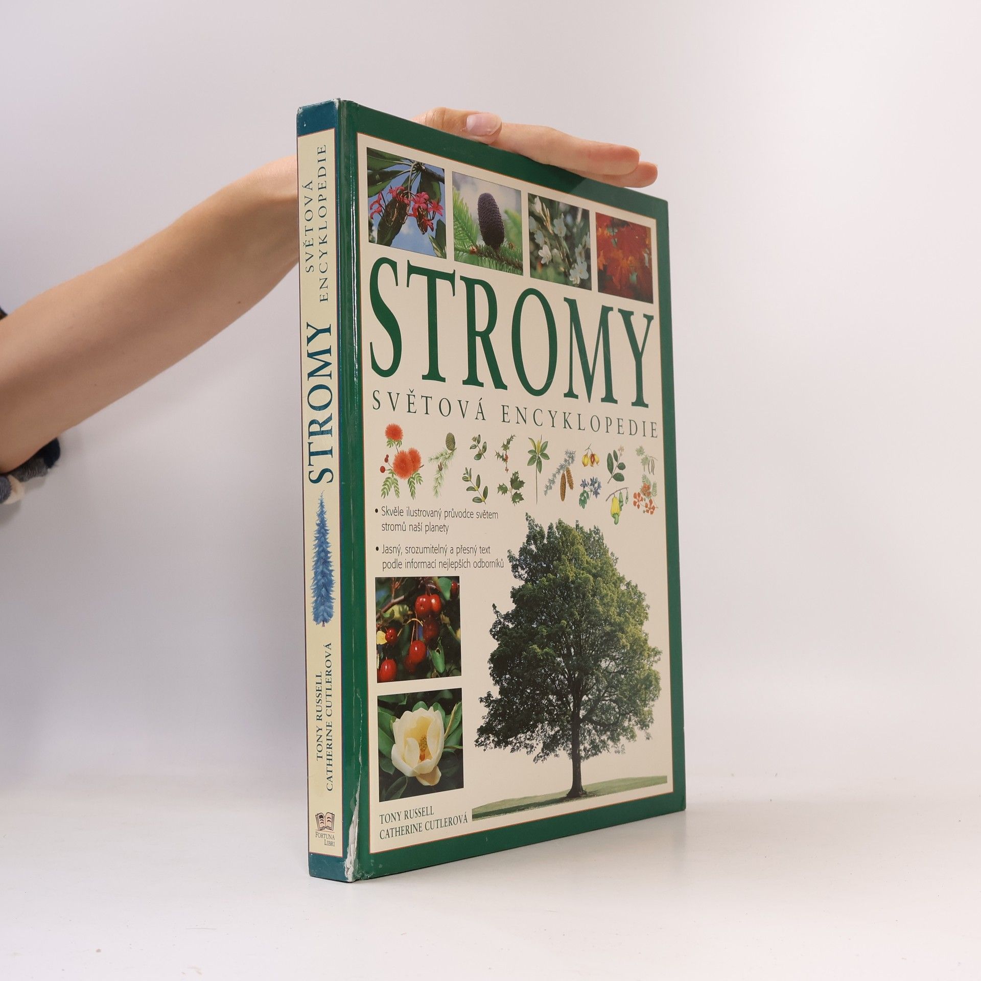 Tony Russell Stromy