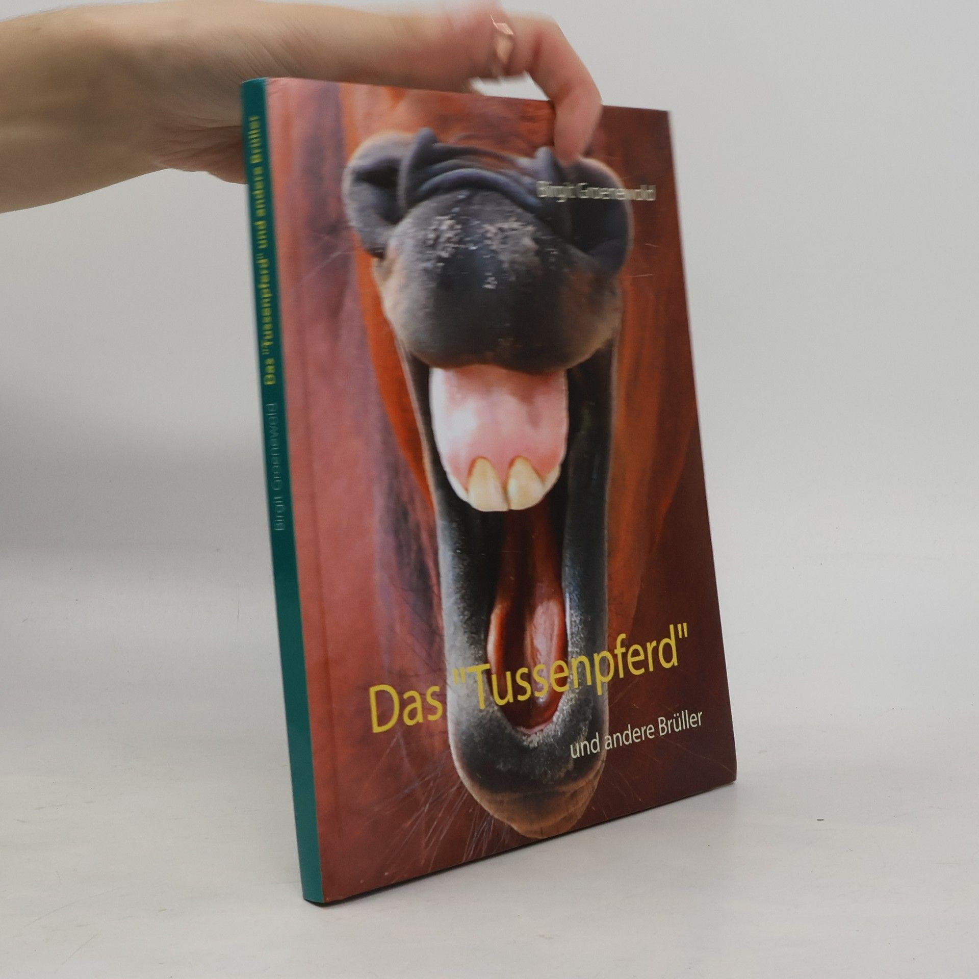 Birgit Groenewold Das "Tussenpferd"