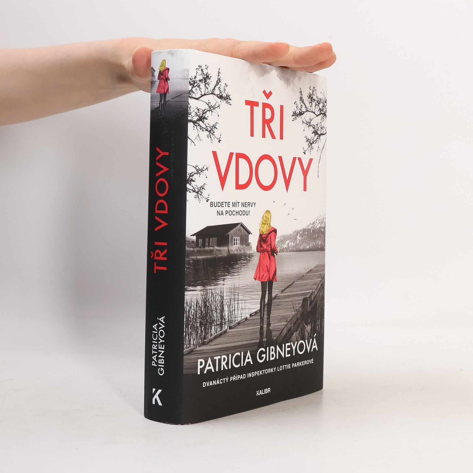 Patricia Gibney Tři vdovy