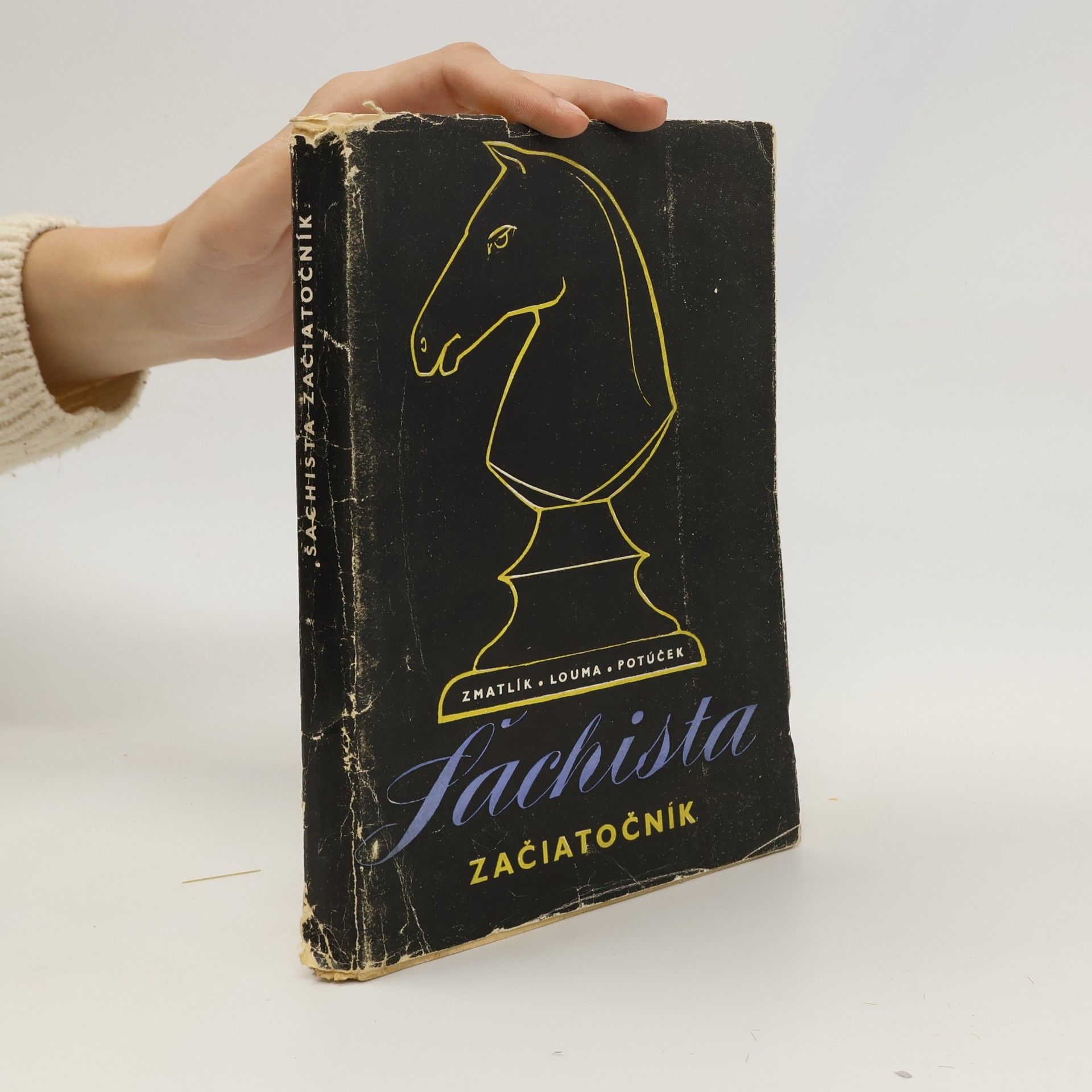 Kolektiv autorů Šachista začiatočník