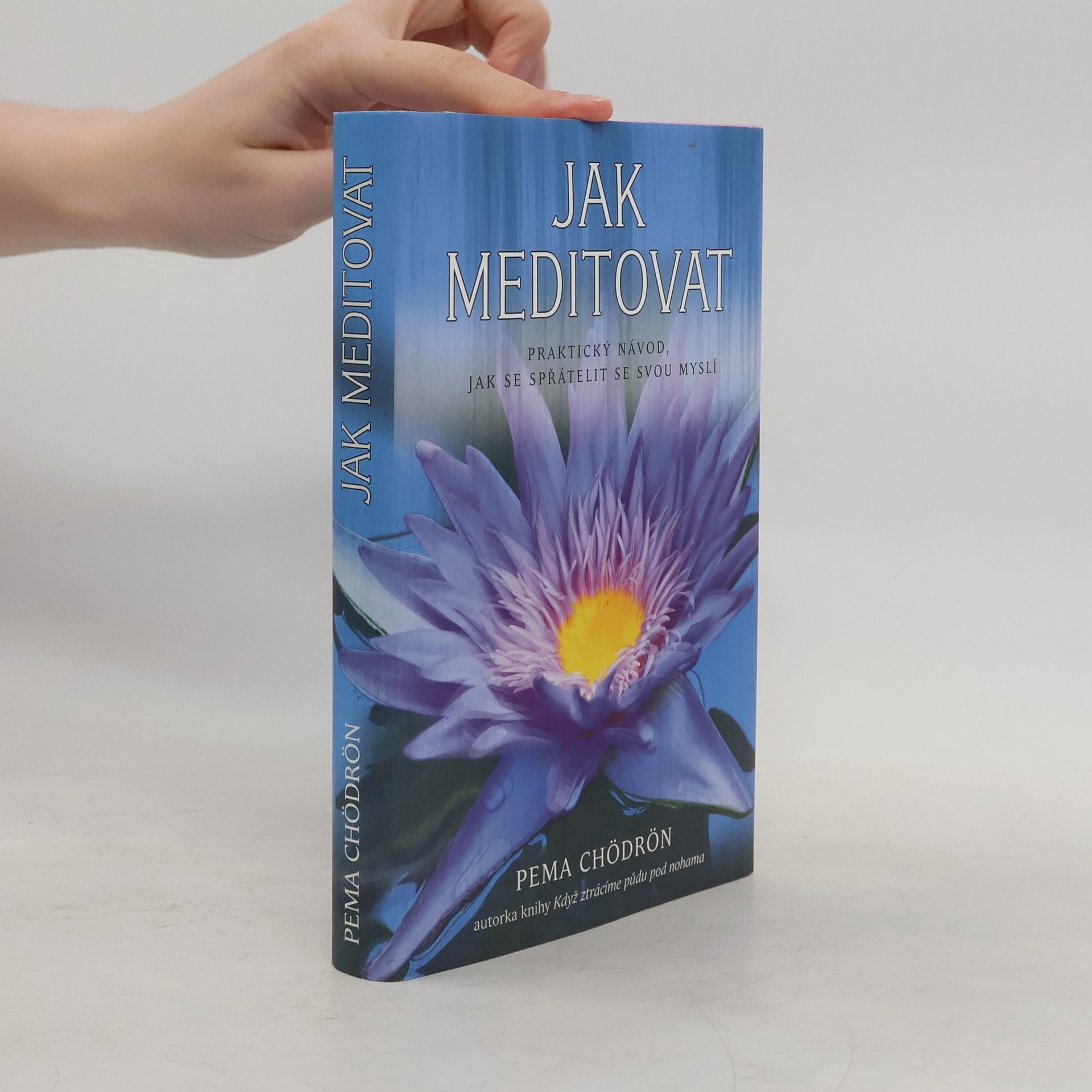 Pema Chödrön Jak meditovat