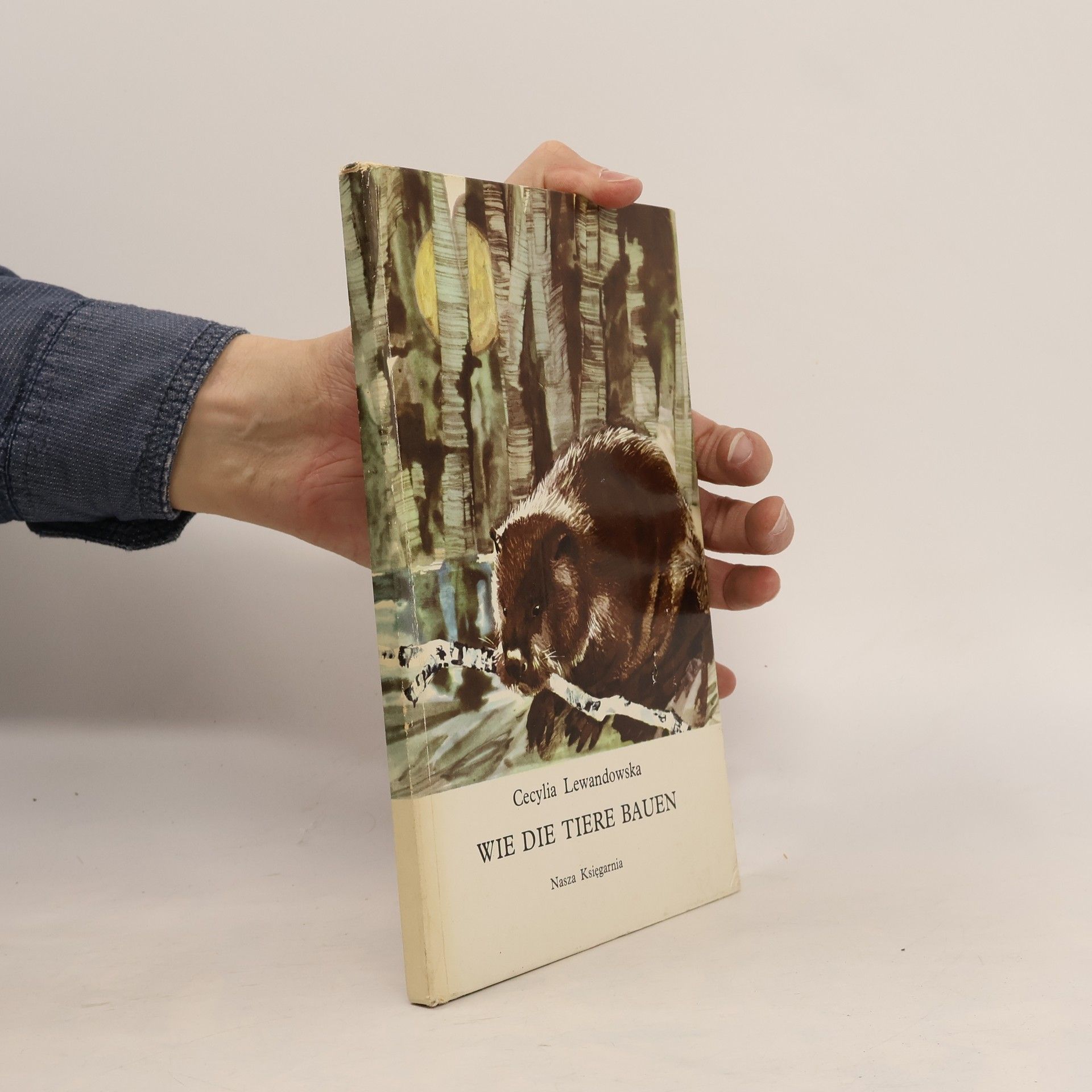 Cecylia Lewandowska Wie die Tiere bauen