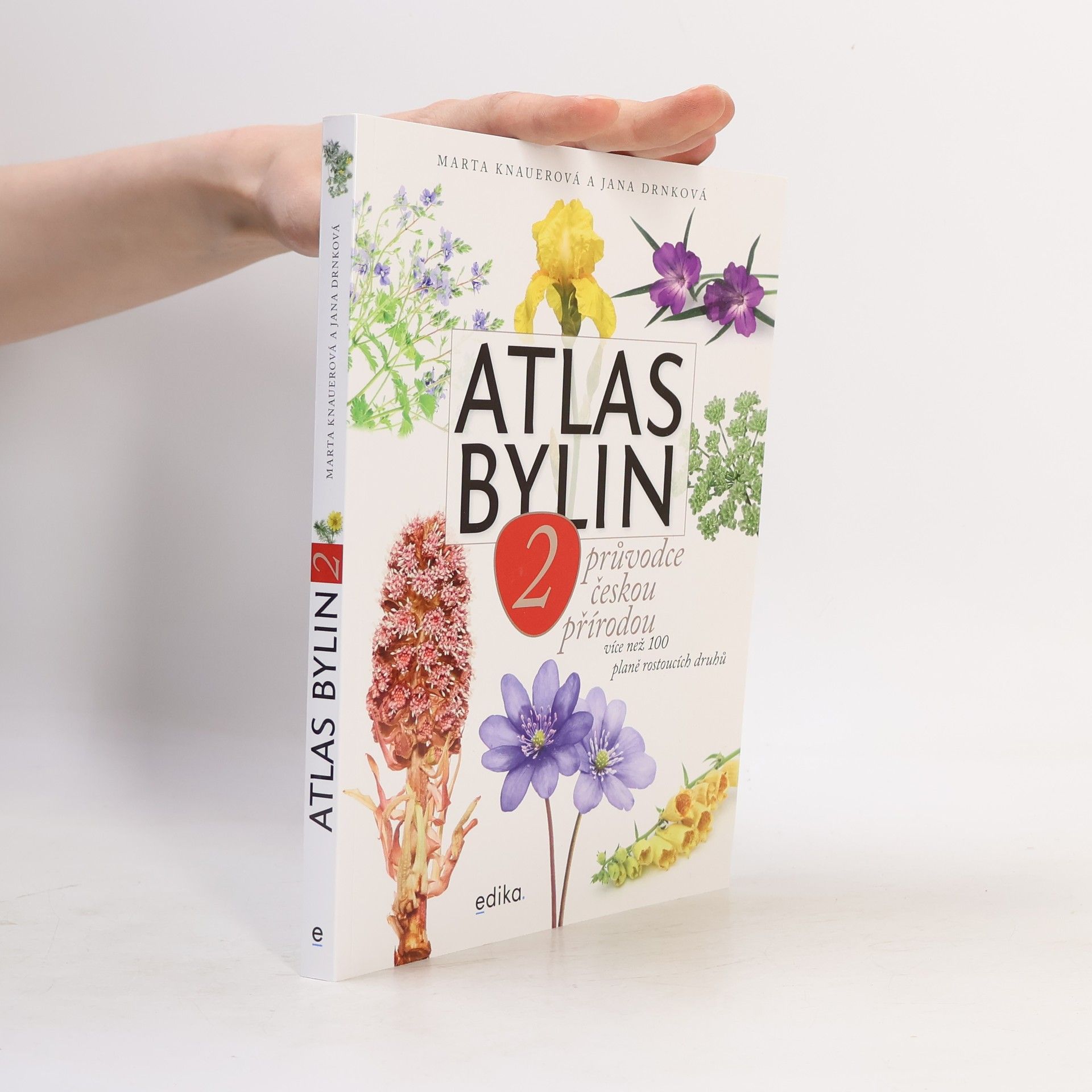 Atlas bylin 2