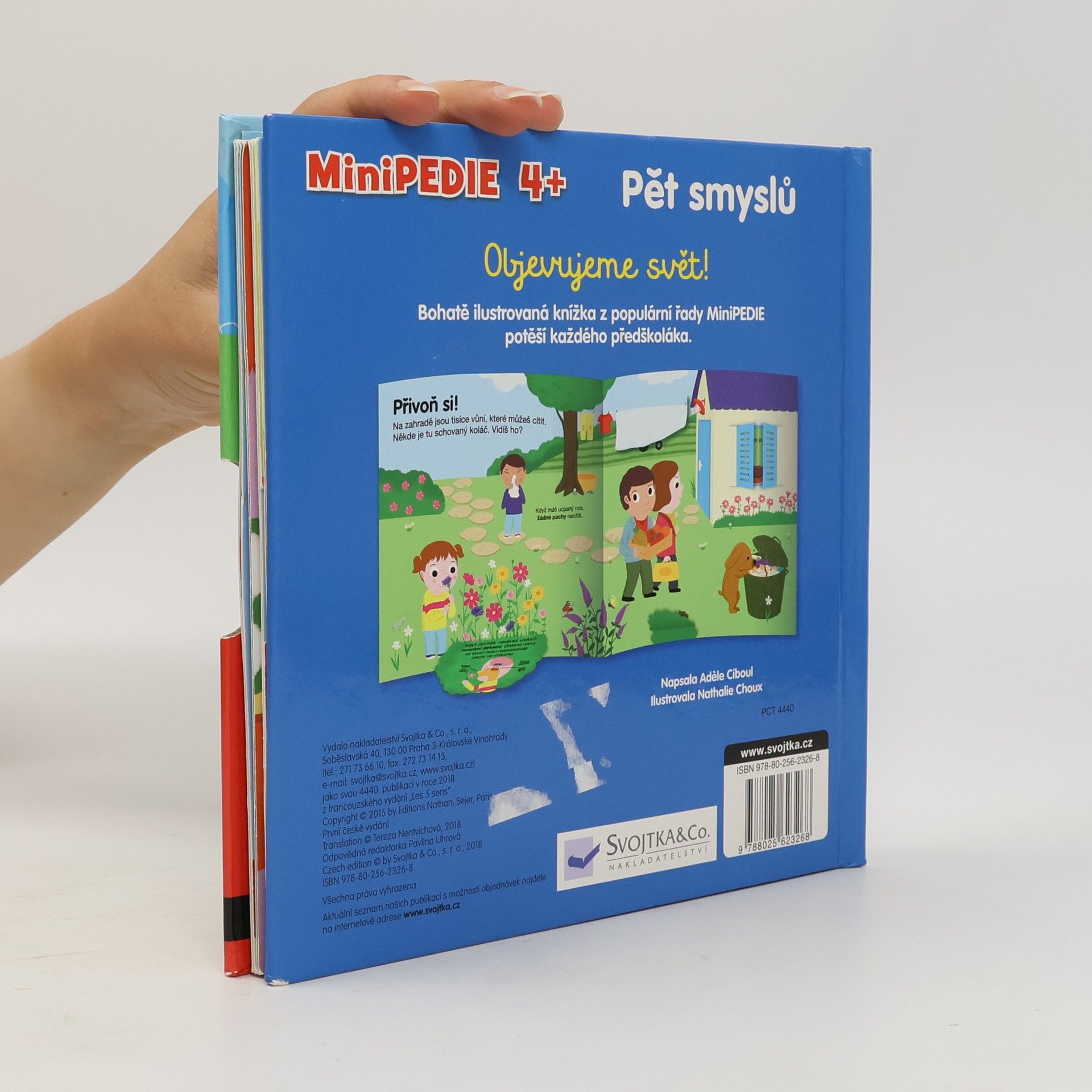 Adèle Ciboul Pět smyslů