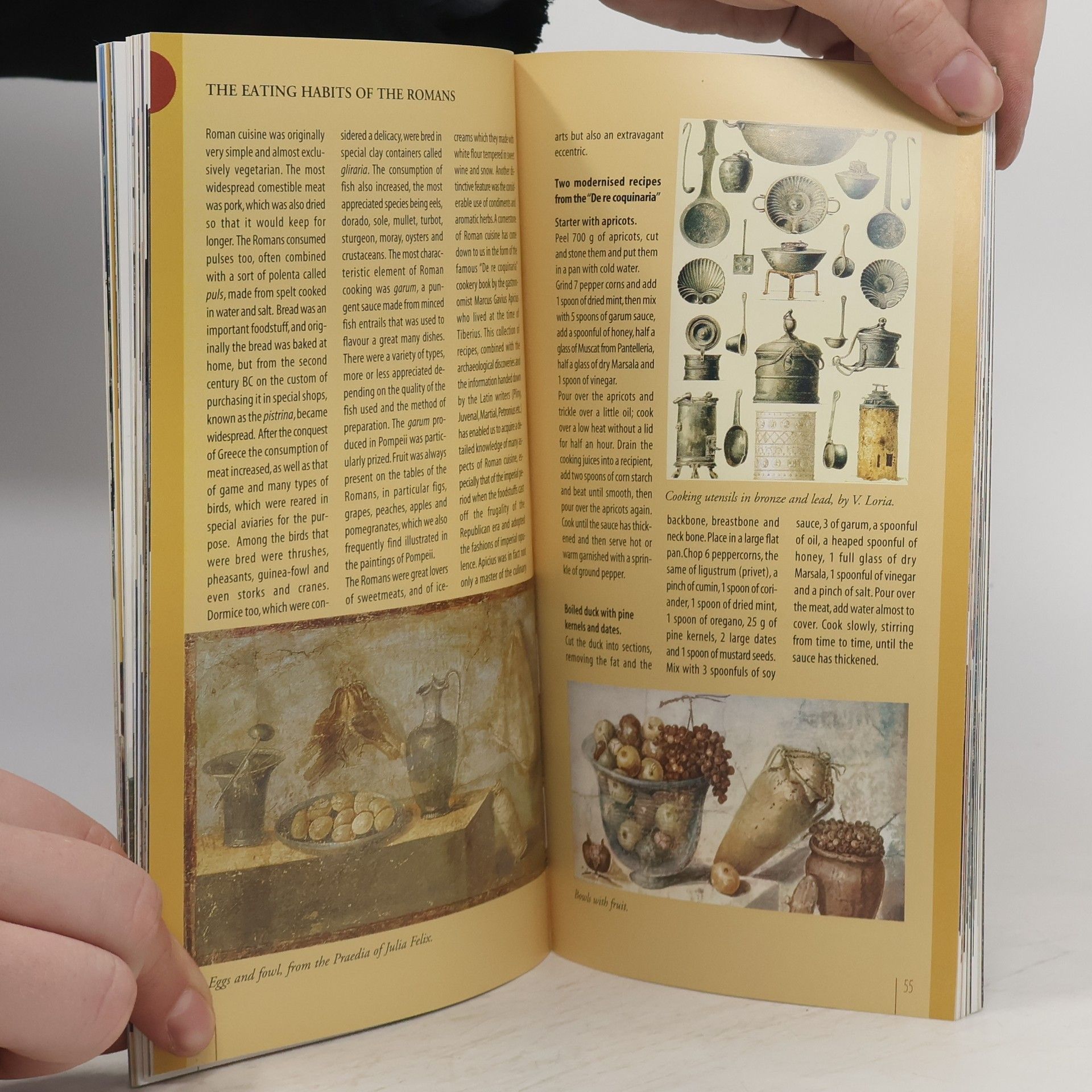 P. Amitrano Pompeii Guide to the Archeological Excavations