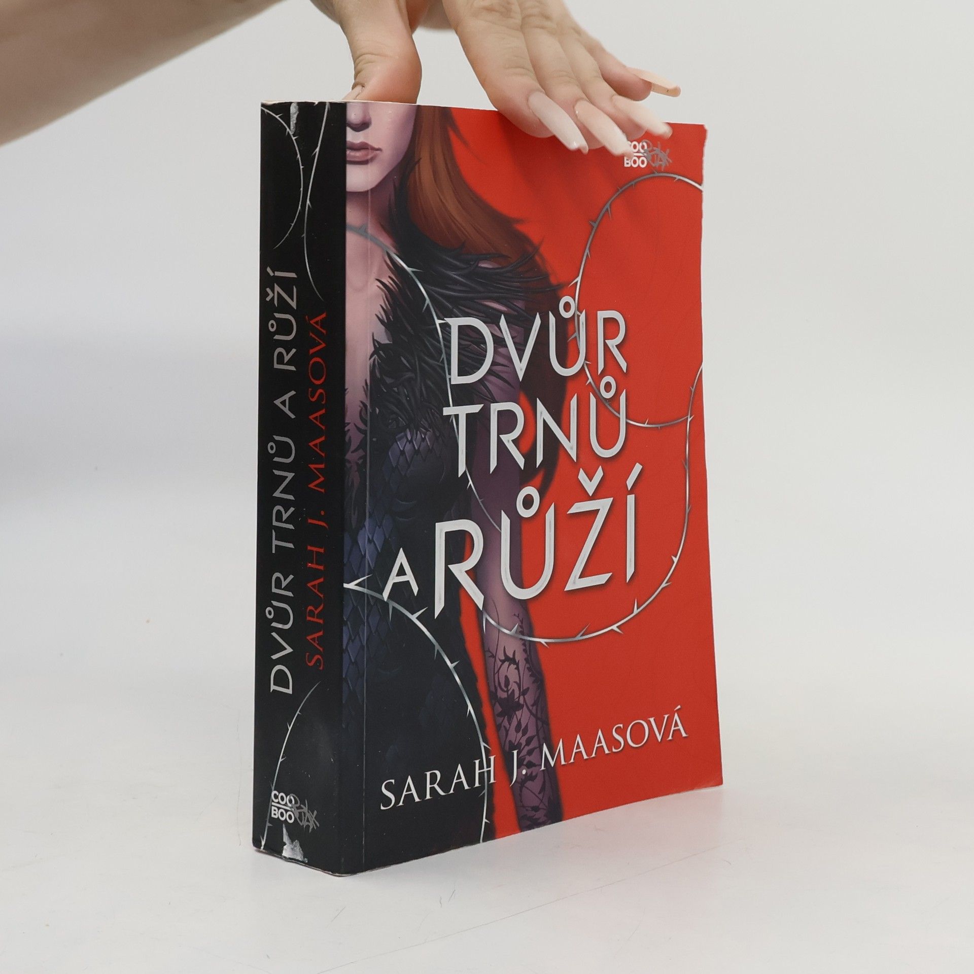 Sarah J. Maas Dvůr trnů a růží