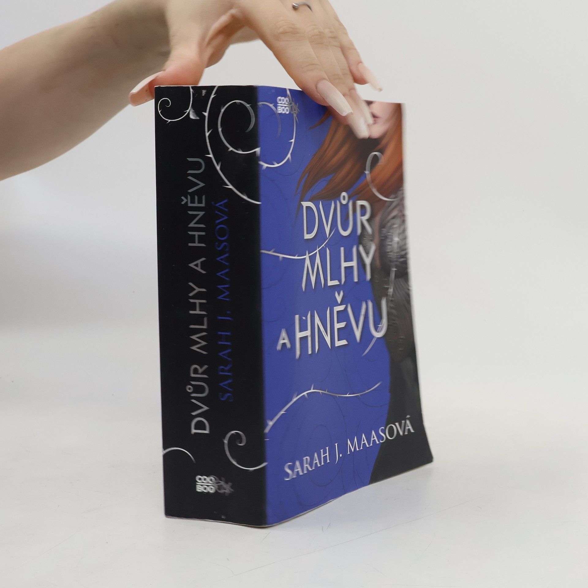 Sarah J. Maas Dvůr mlhy a hněvu