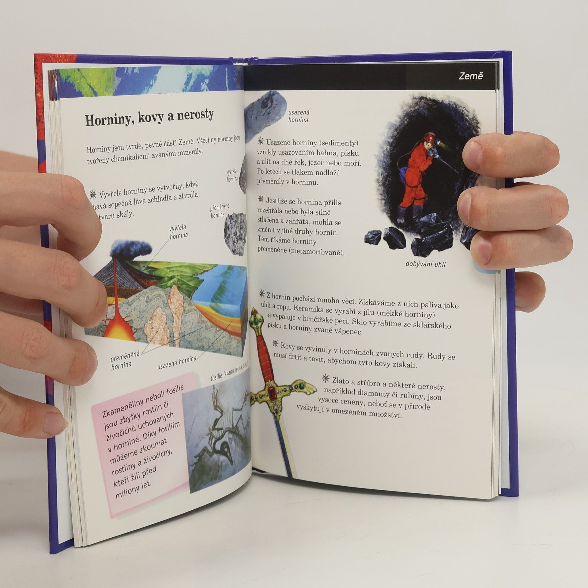 Autorenkollektiv Rozum do batůžku pro (před)školáky: Tisíce informací v malíčku pro děti od čtyř let