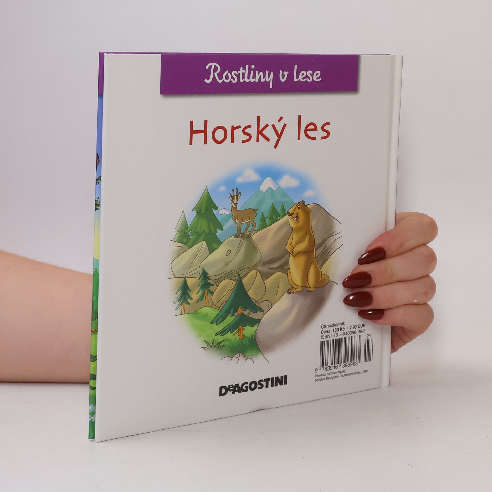 AA.VV. Rostliny v lese 23. Horský les