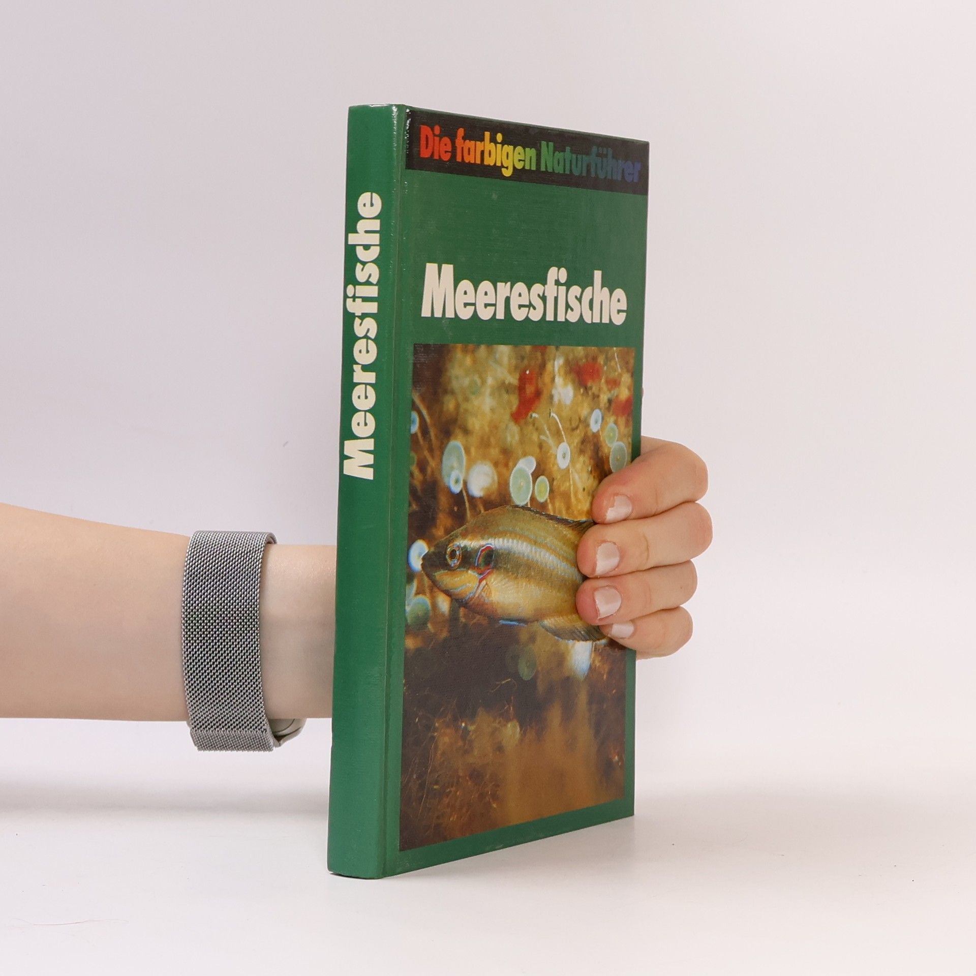 Autores varios Meeresfische