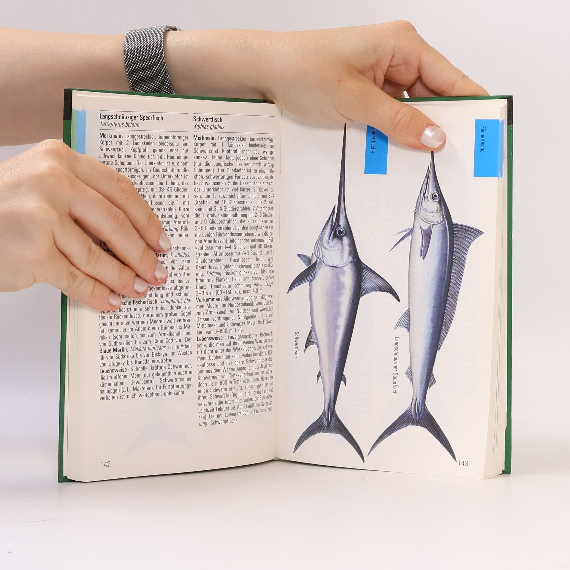 Various authors Meeresfische