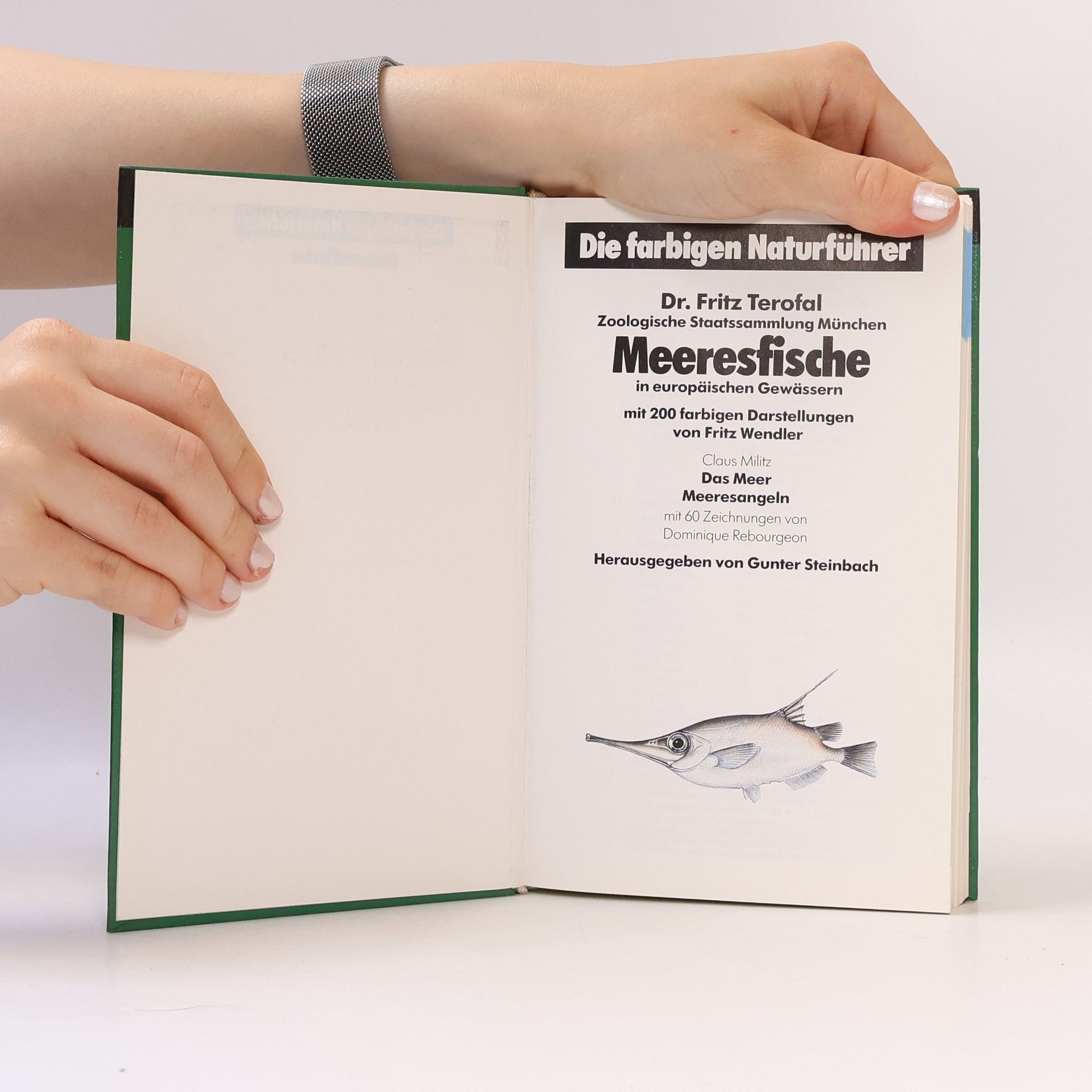 Various authors Meeresfische