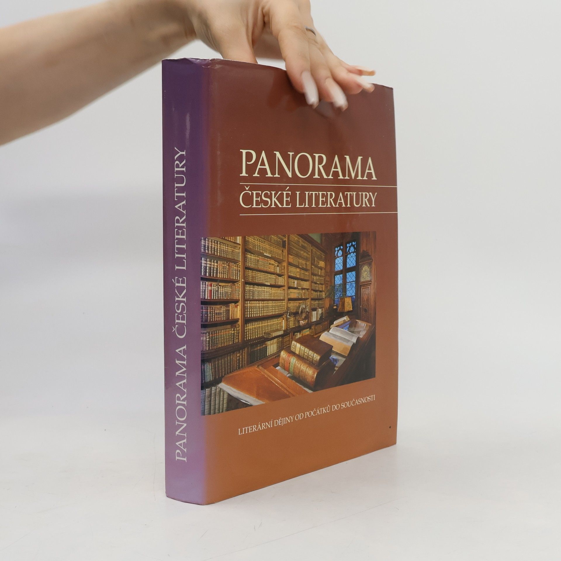 Josef Galík Panorama české literatury. Literární dějiny od počátků do současnosti