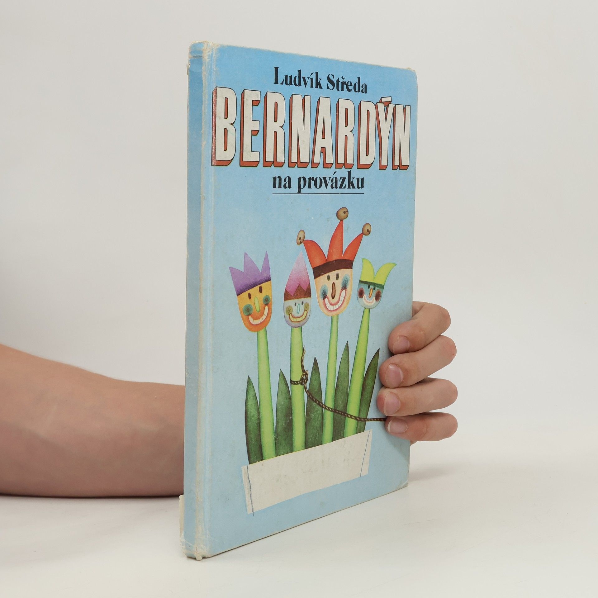 Bernardýn na provázku