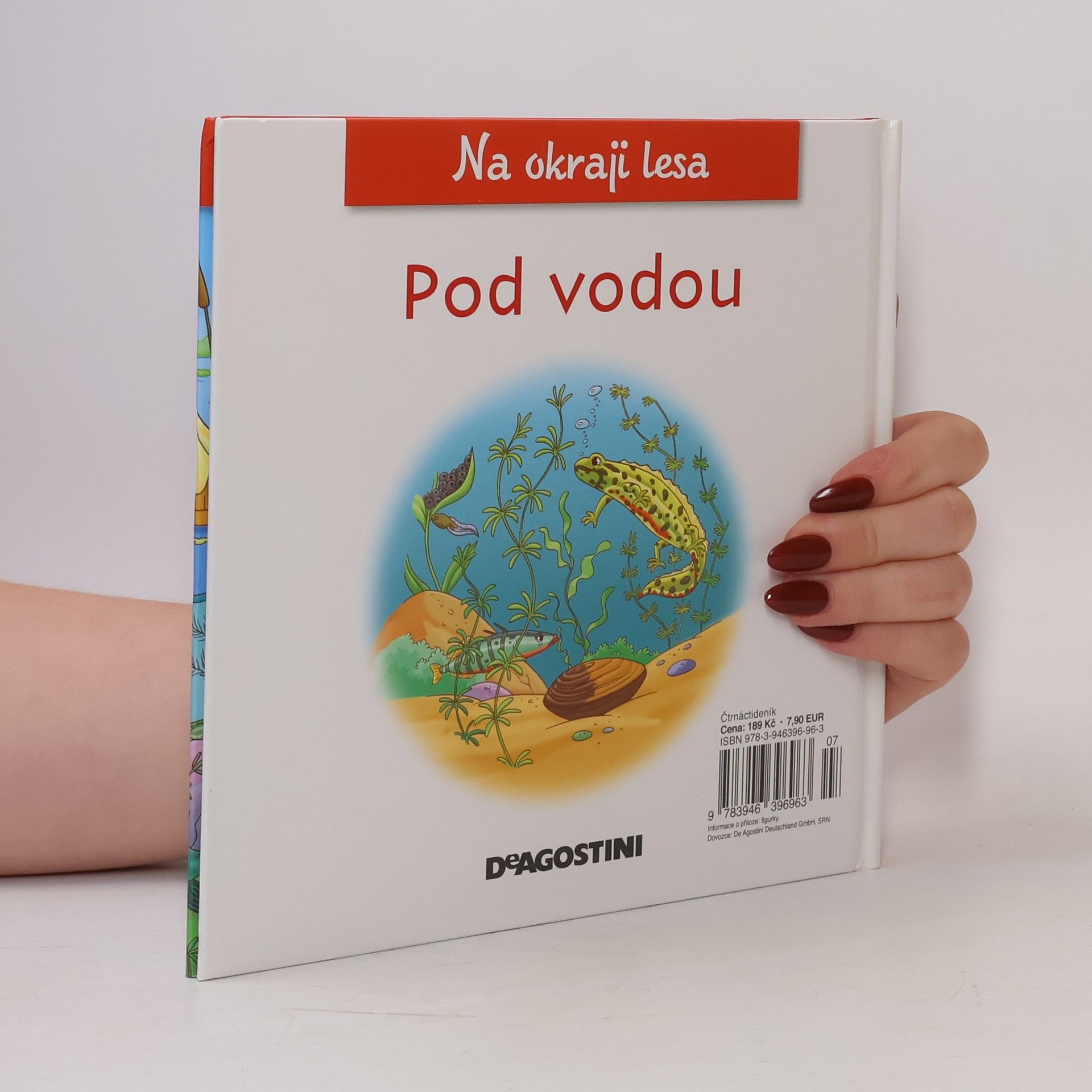 Auteurscollectief Na okraji lesa 39. Pod vodou