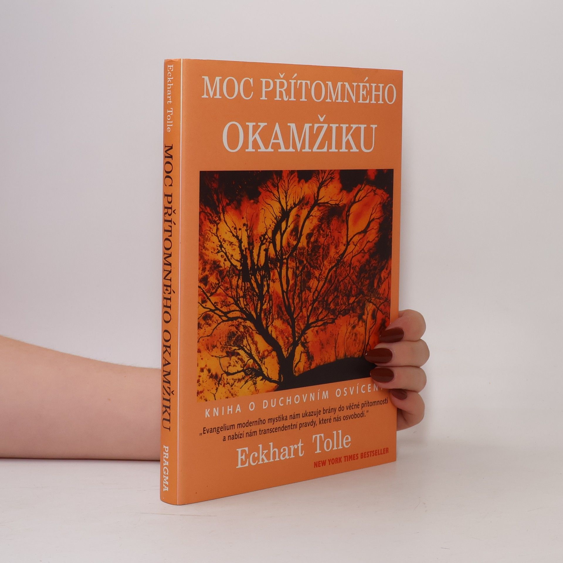 Moc přítomného okamžiku