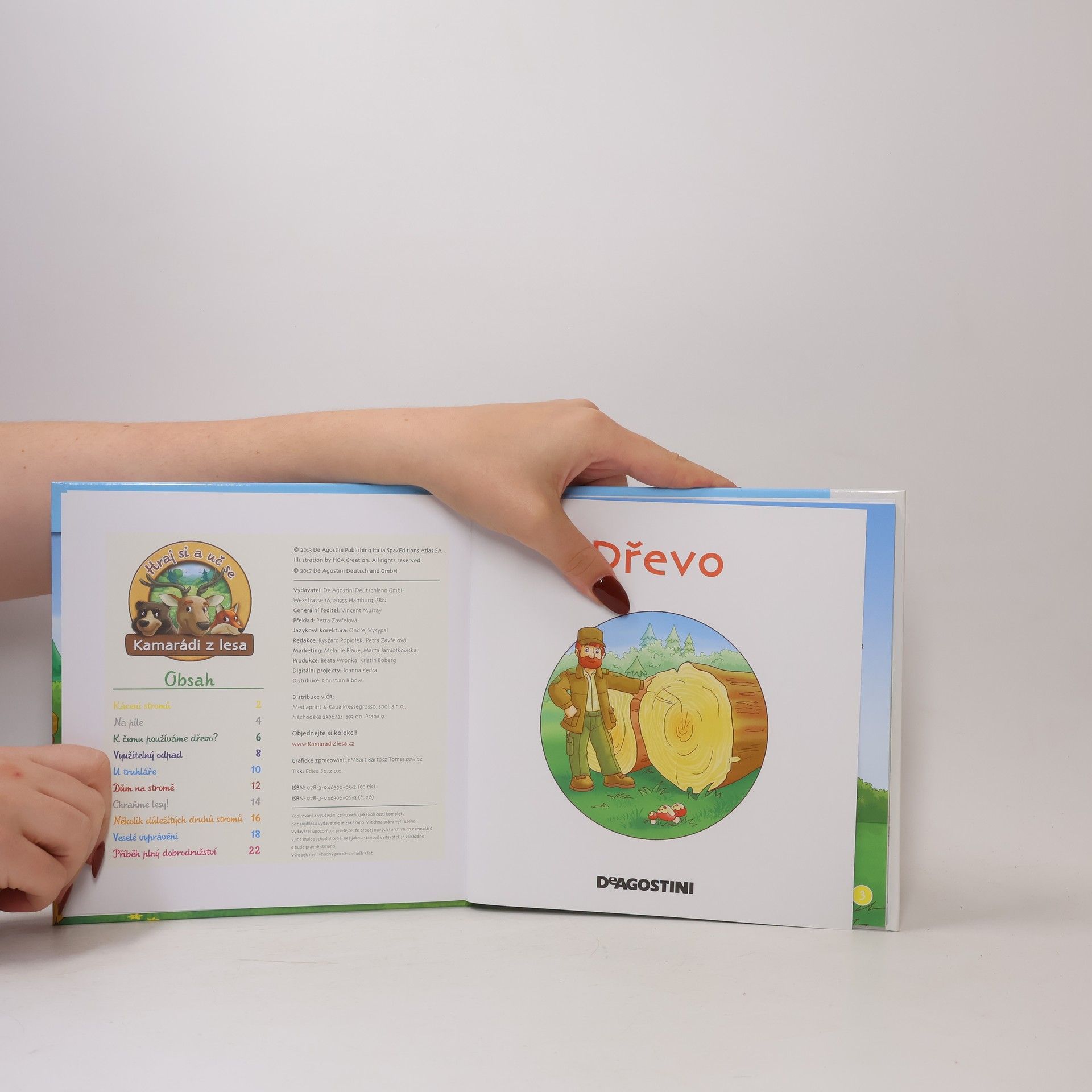 Autorenkollektiv Chráníme les 26. Dřevo