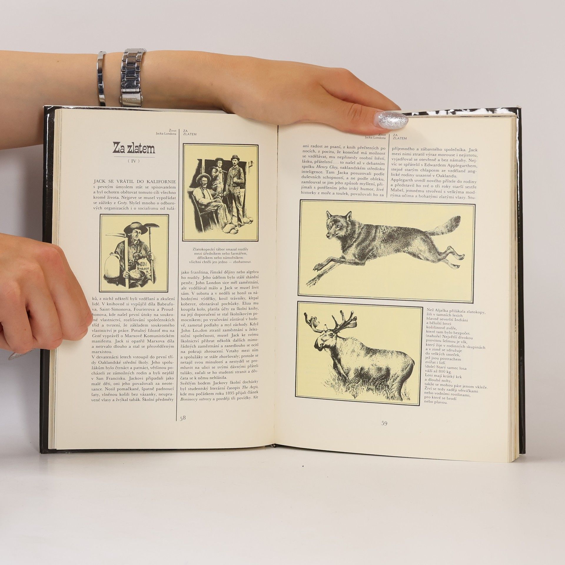 Jack London Láska k životu