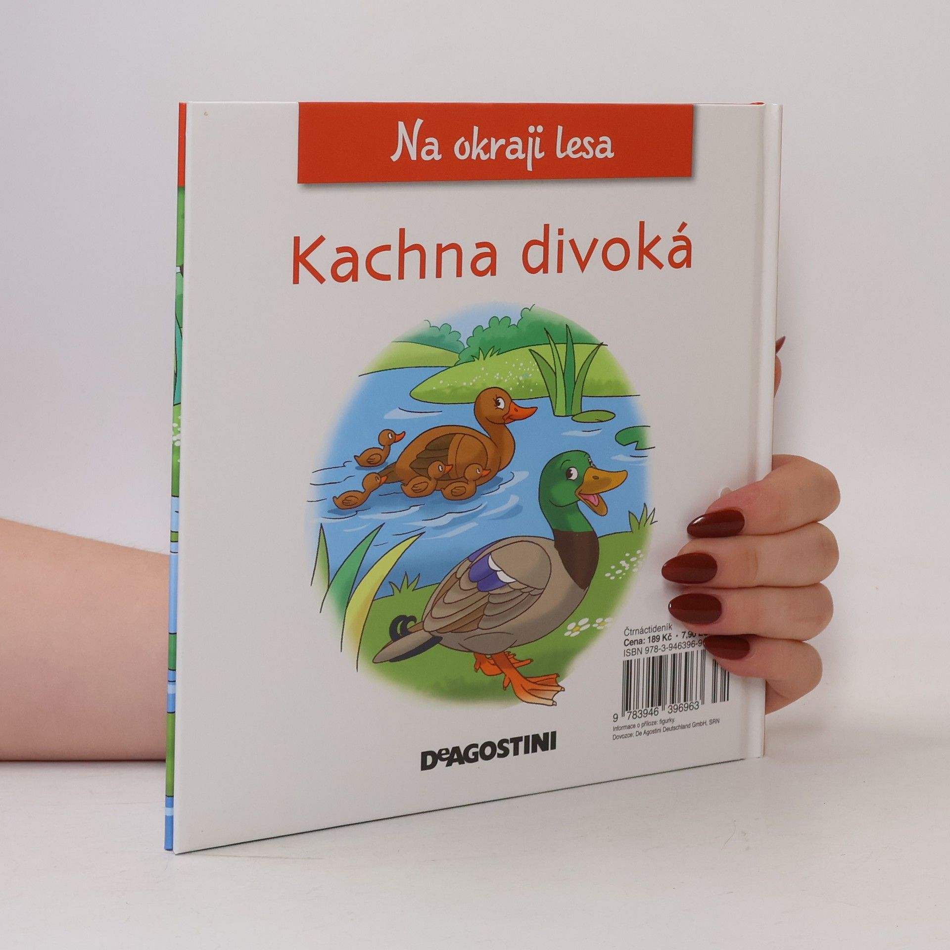 Various authors Na okraji lesa 25. Kachna divoká