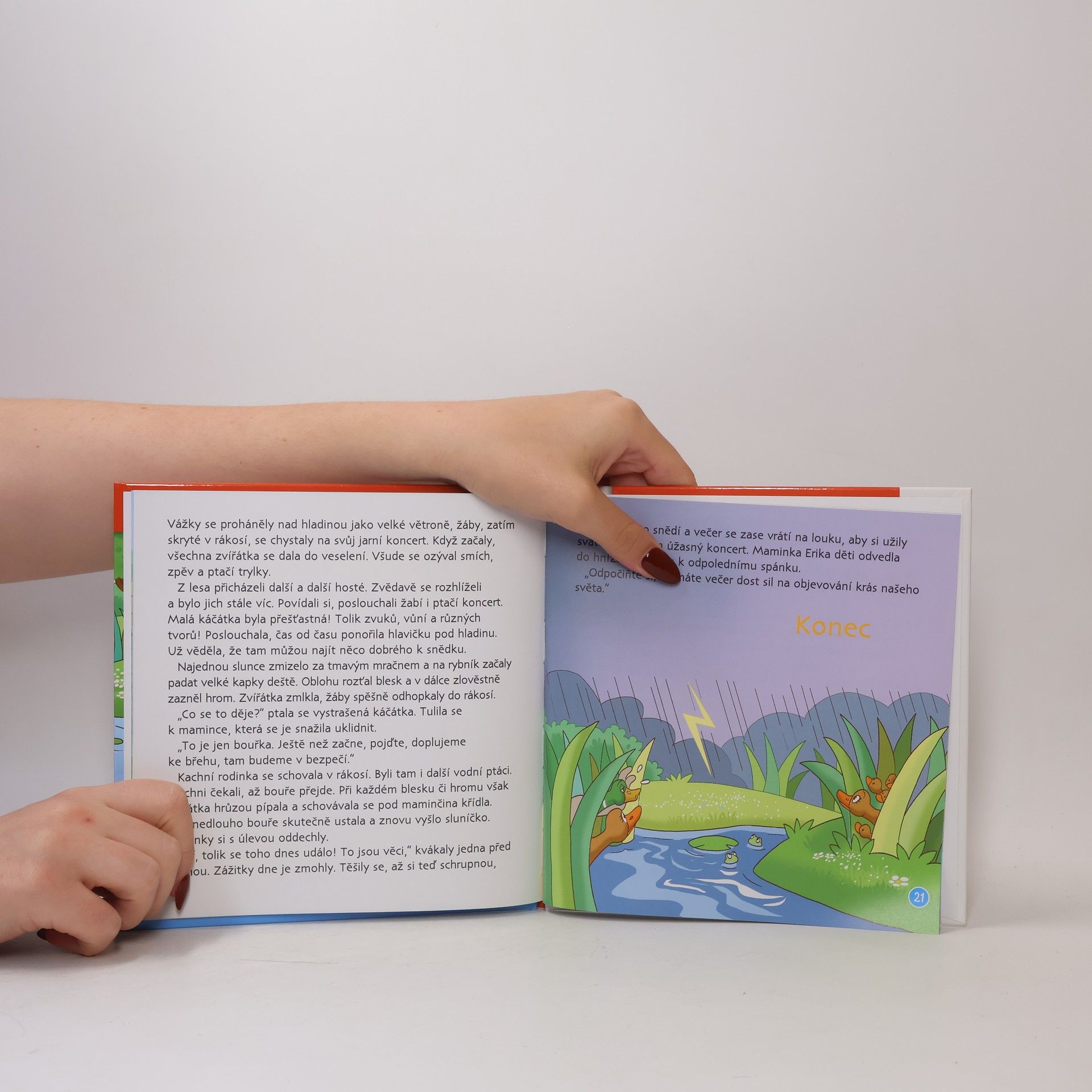 Various authors Na okraji lesa 25. Kachna divoká