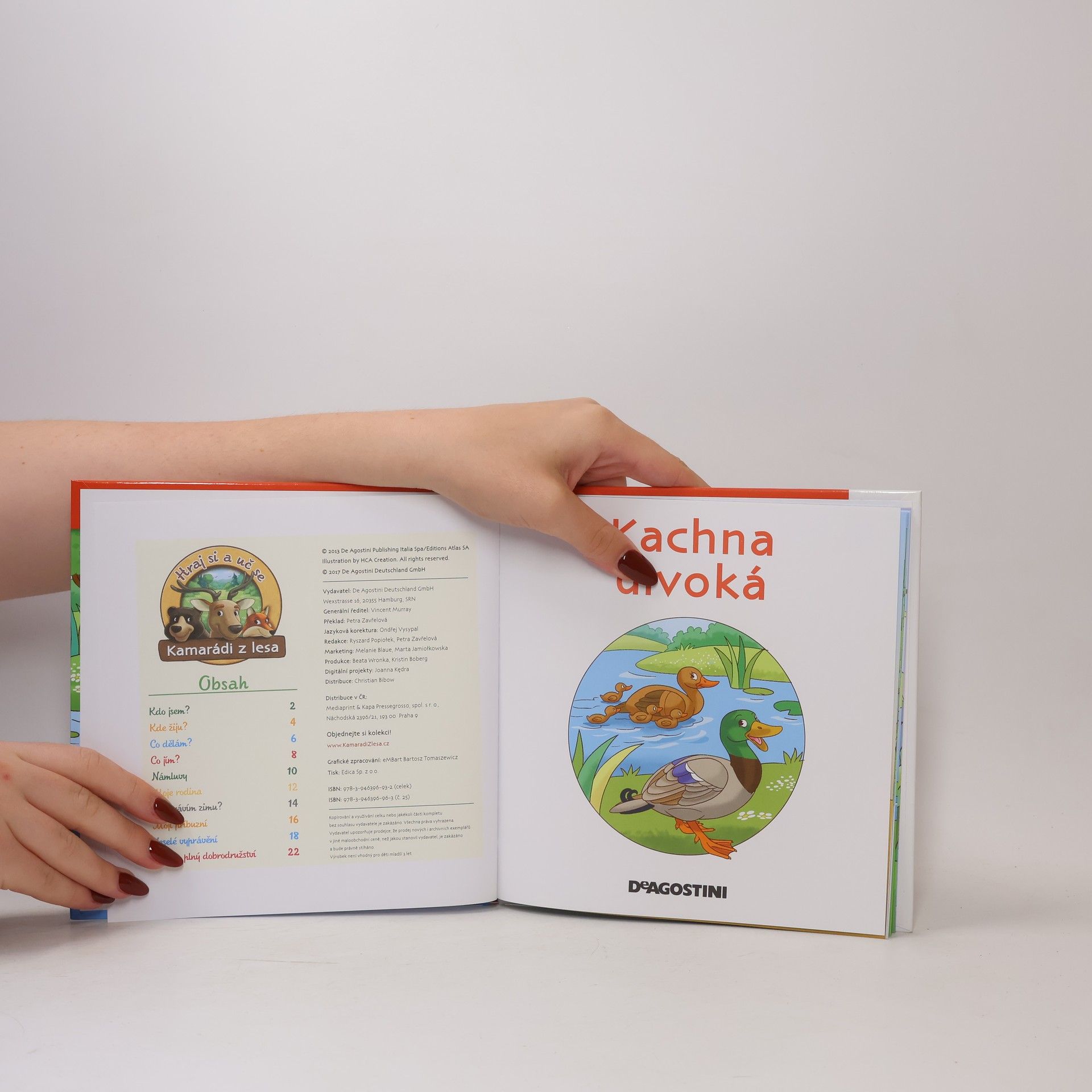 Various authors Na okraji lesa 25. Kachna divoká