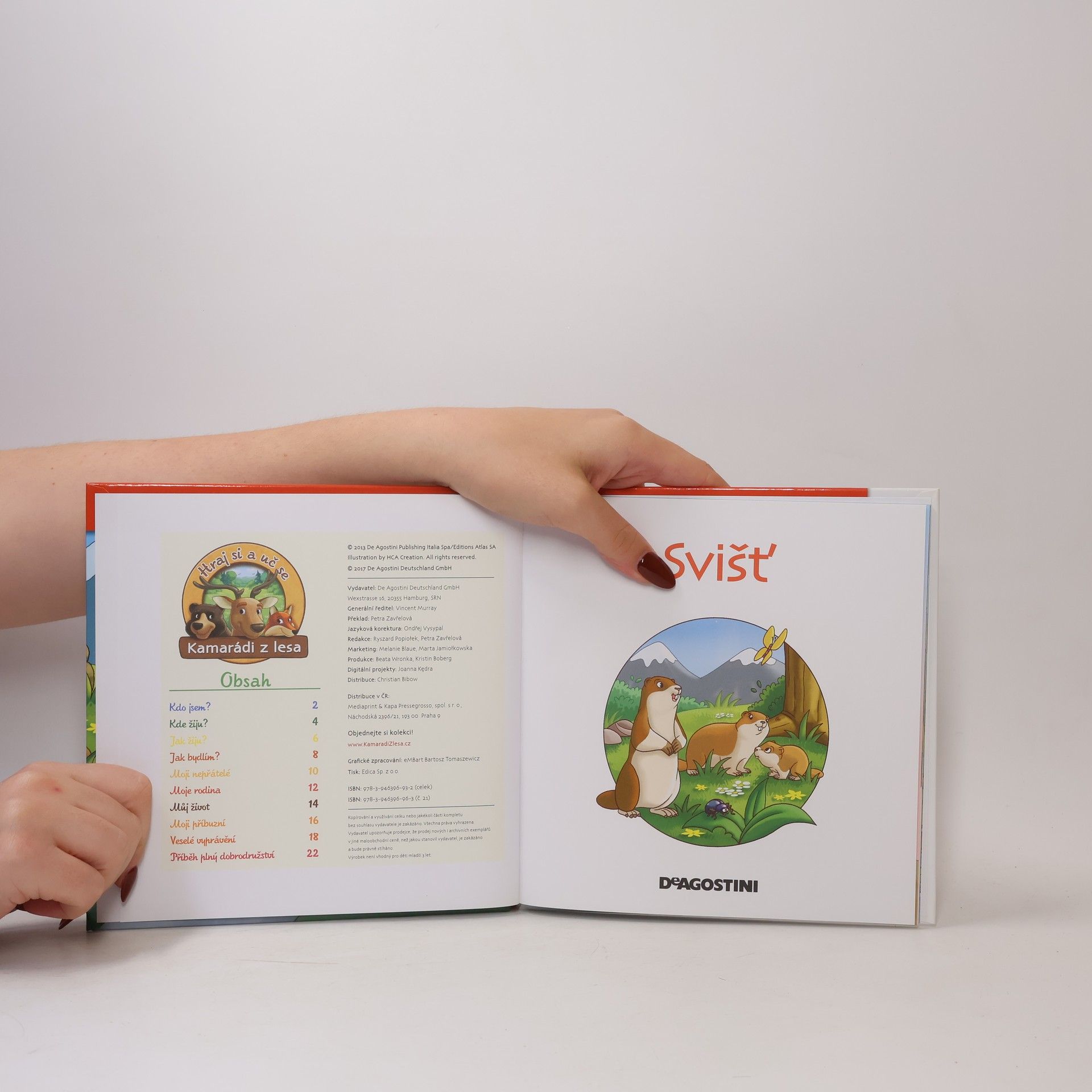 Kolektiv autorů Na okraji lesa 21. Svišť