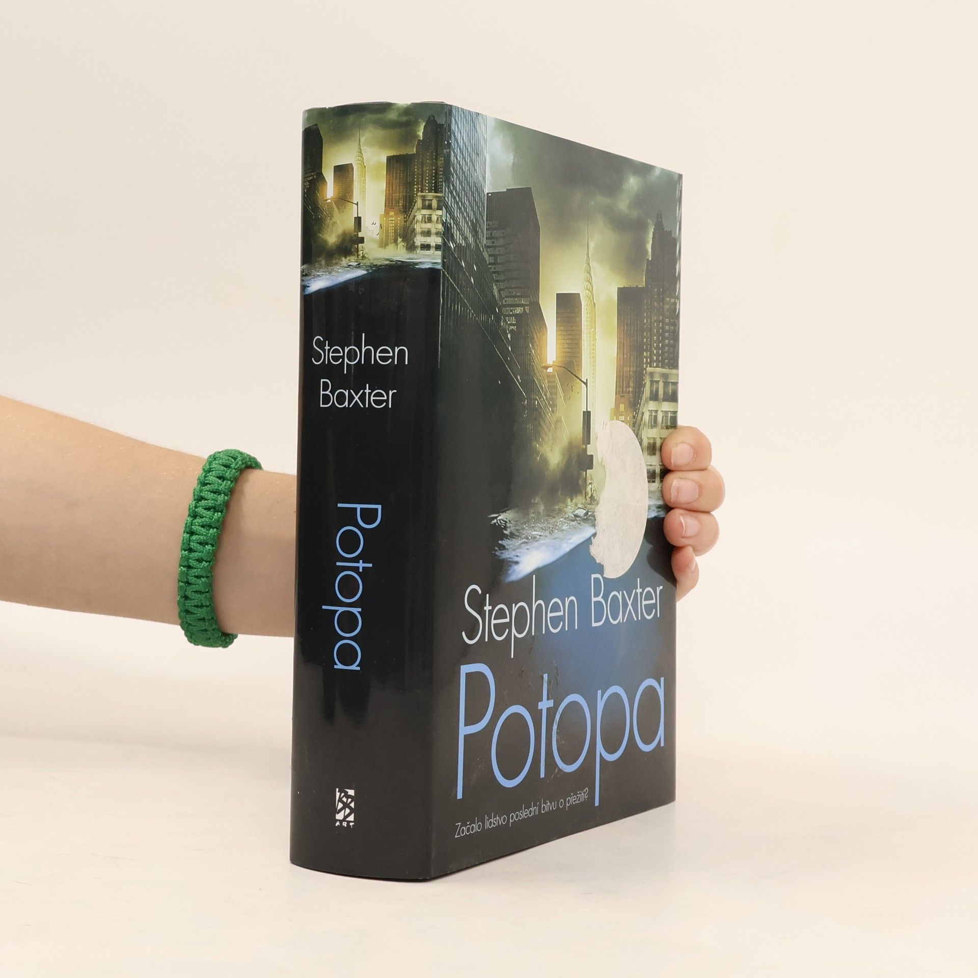 Stephen Baxter Potopa