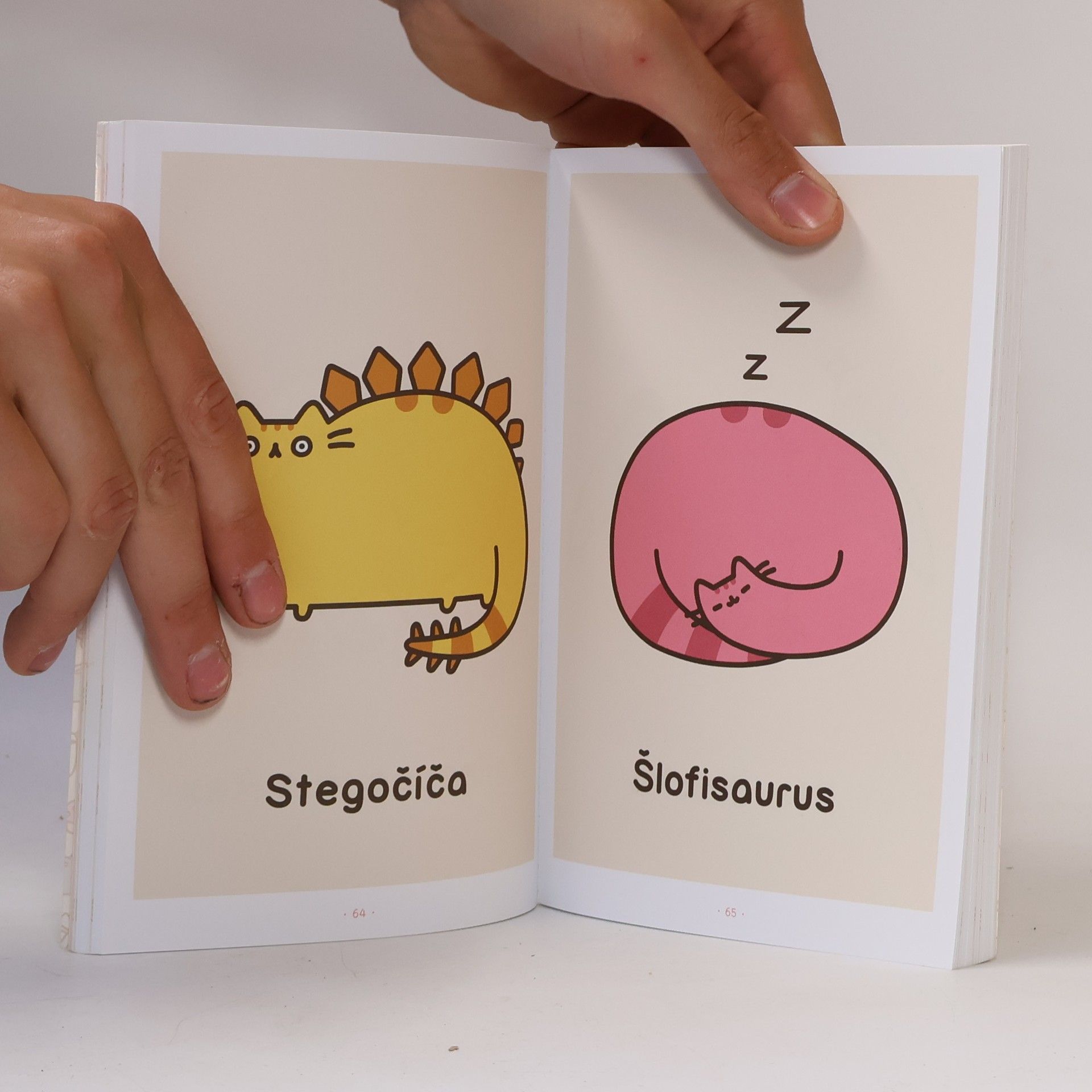Claire Belton Pusheen. Já, košišta