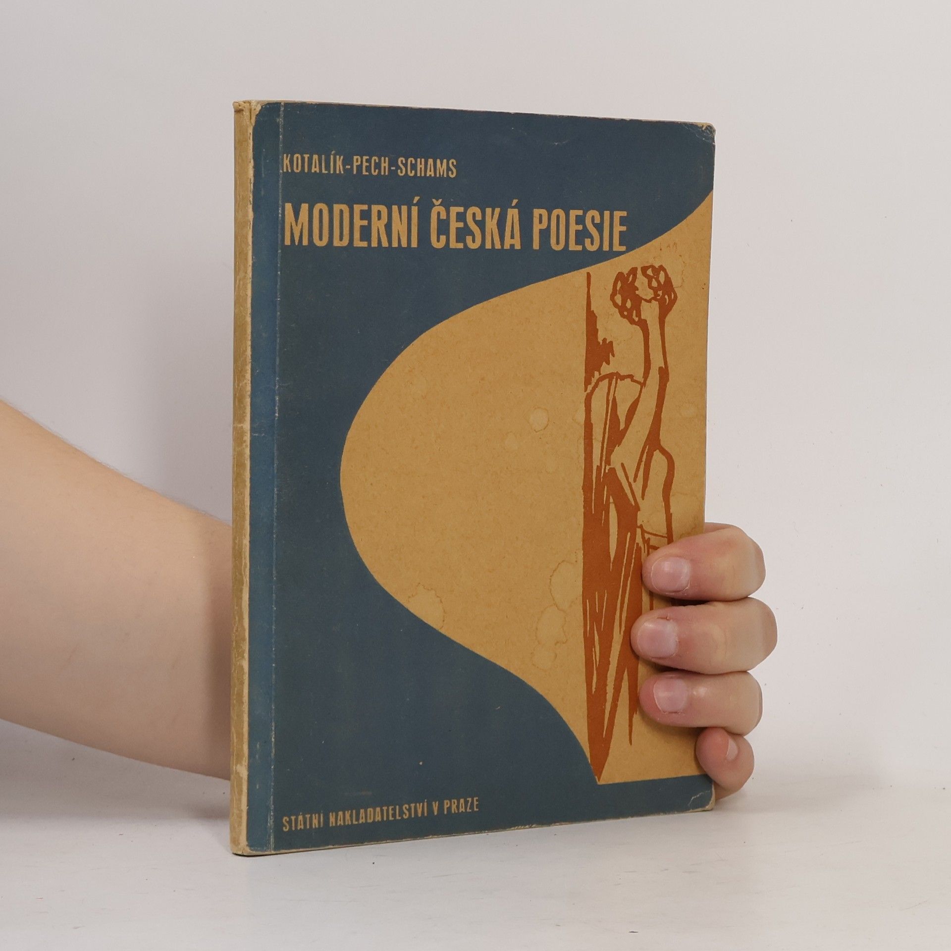 Vilém Pechanec Moderní česká poesie