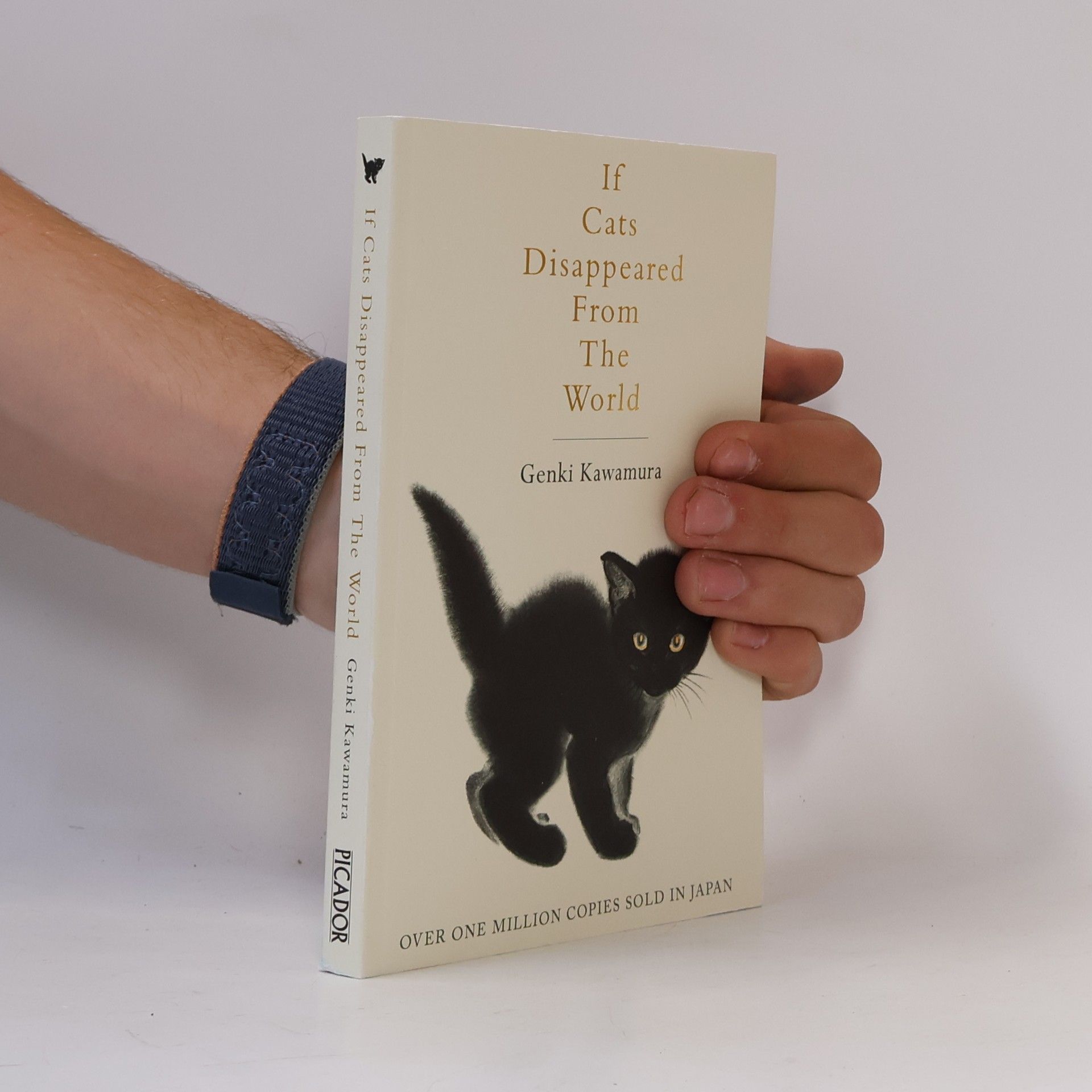 Genki Kawamura If Cats Disappeared from the World
