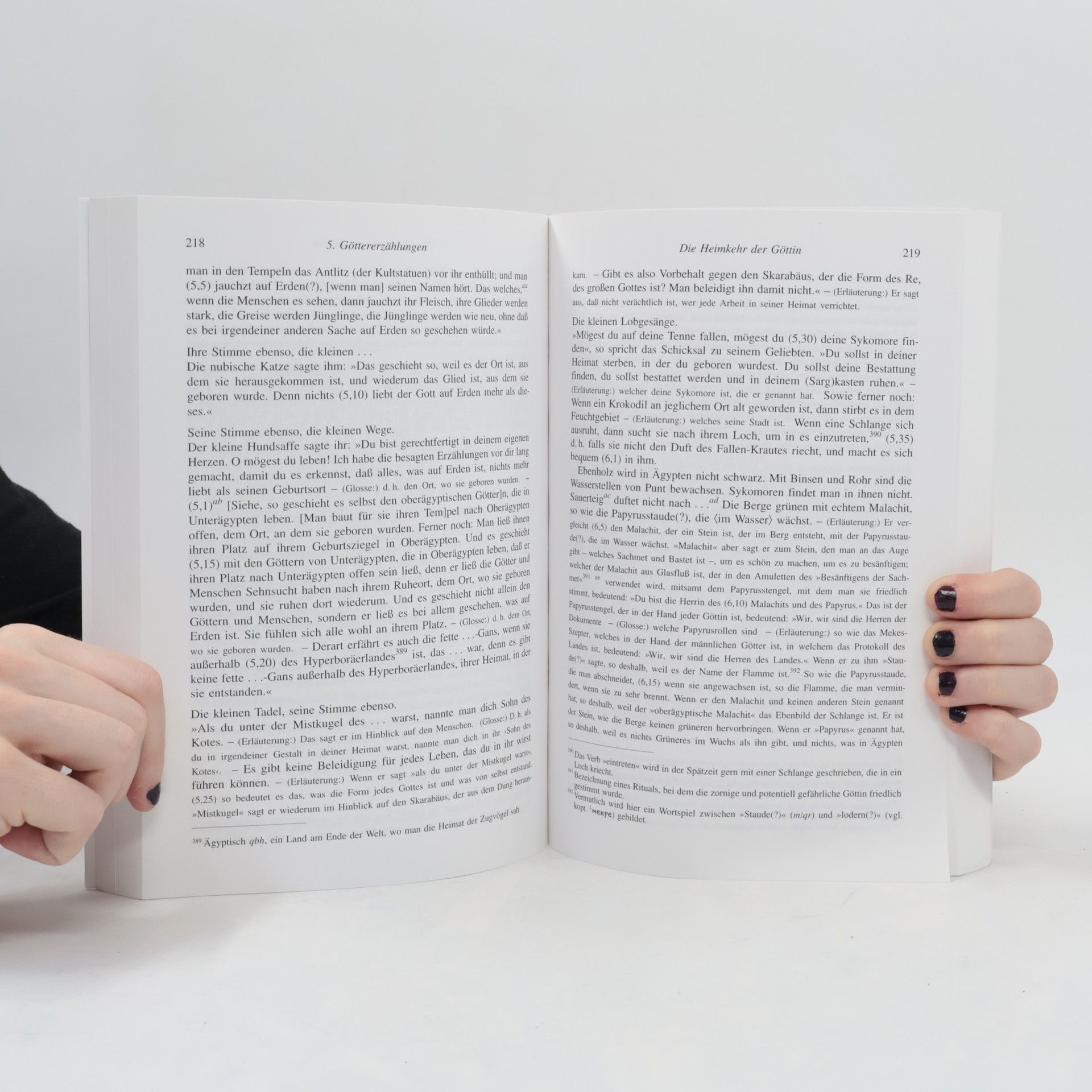 Friedhelm Hoffmann Anthologie der demotischen Literatur - 2., neubearb. u. erweiterte Aufl.