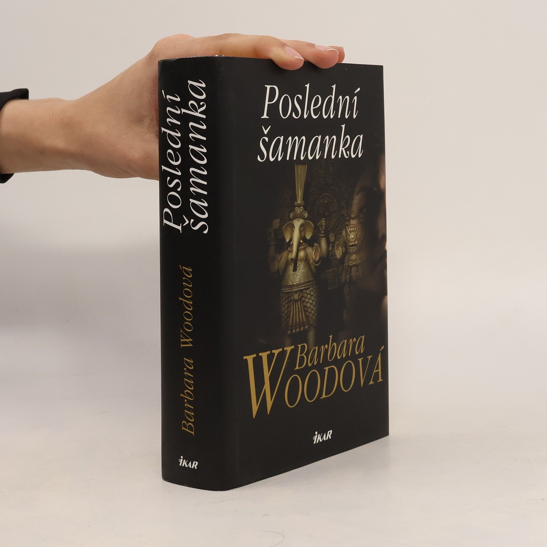 Barbara Wood Poslední šamanka