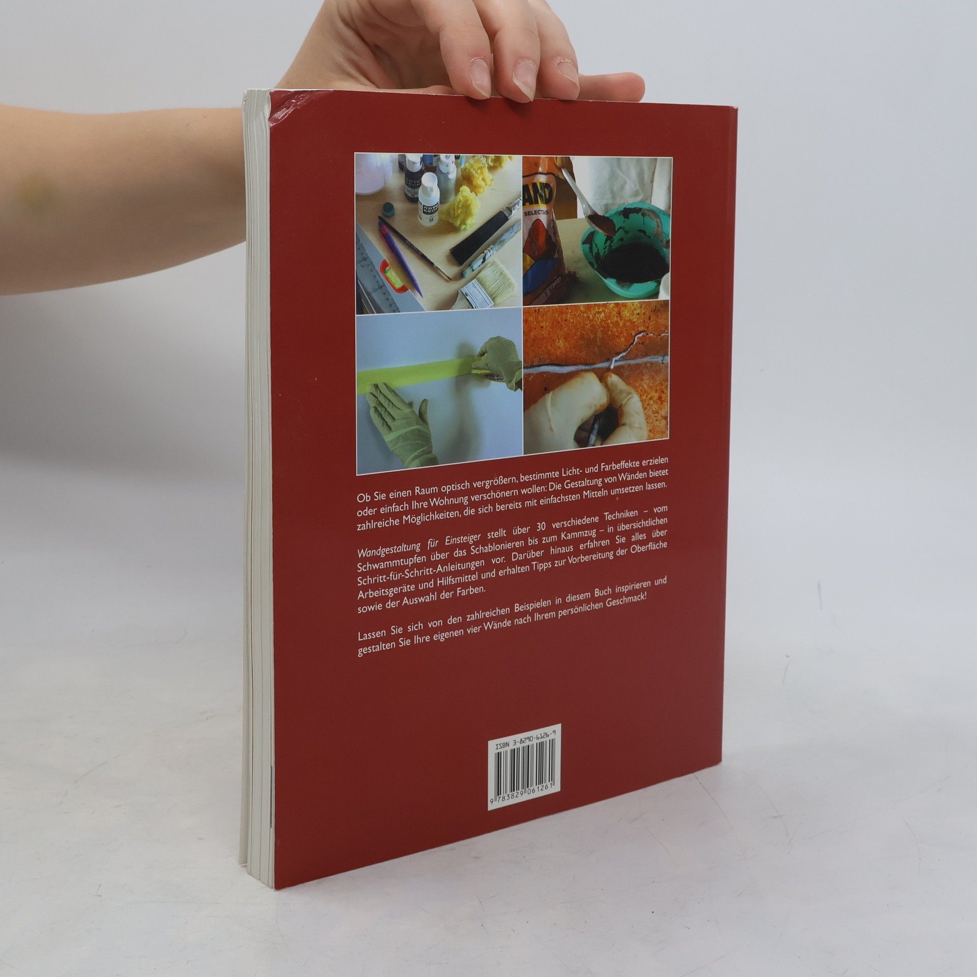 Autorenkollektiv Wandgestaltung für Einsteiger