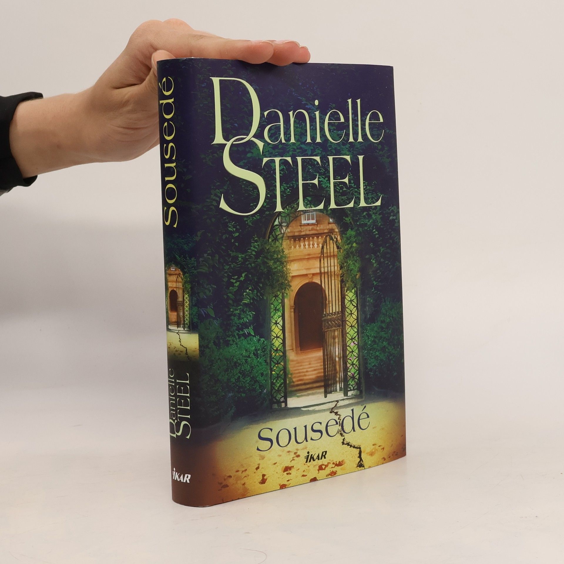 Danielle Steel Sousedé
