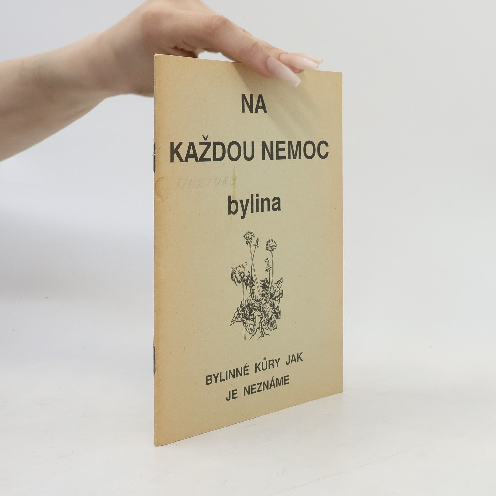 Kolektiv autorů Na každou nemoc bylina