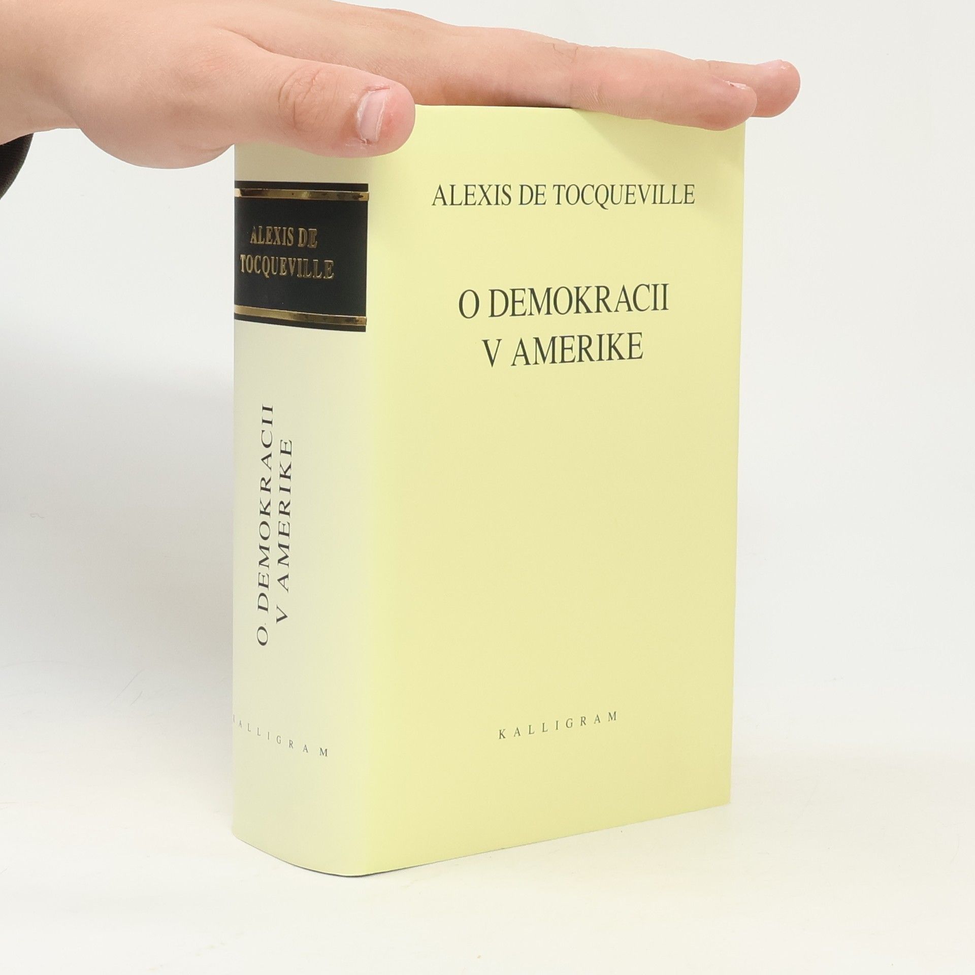 Alexis de Tocqueville O demokracii v Amerike