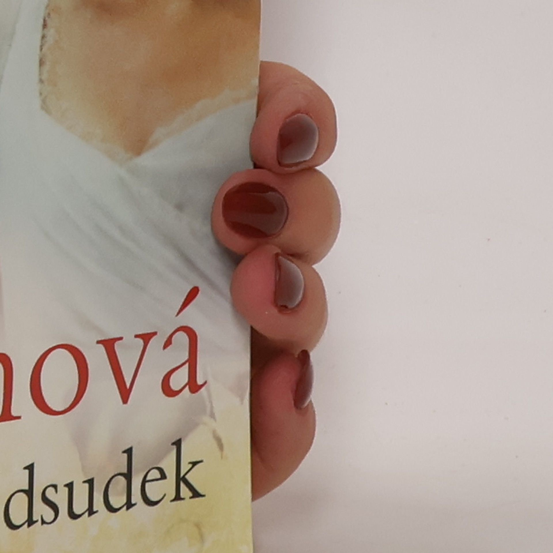 Jane Austen Pýcha a předsudek