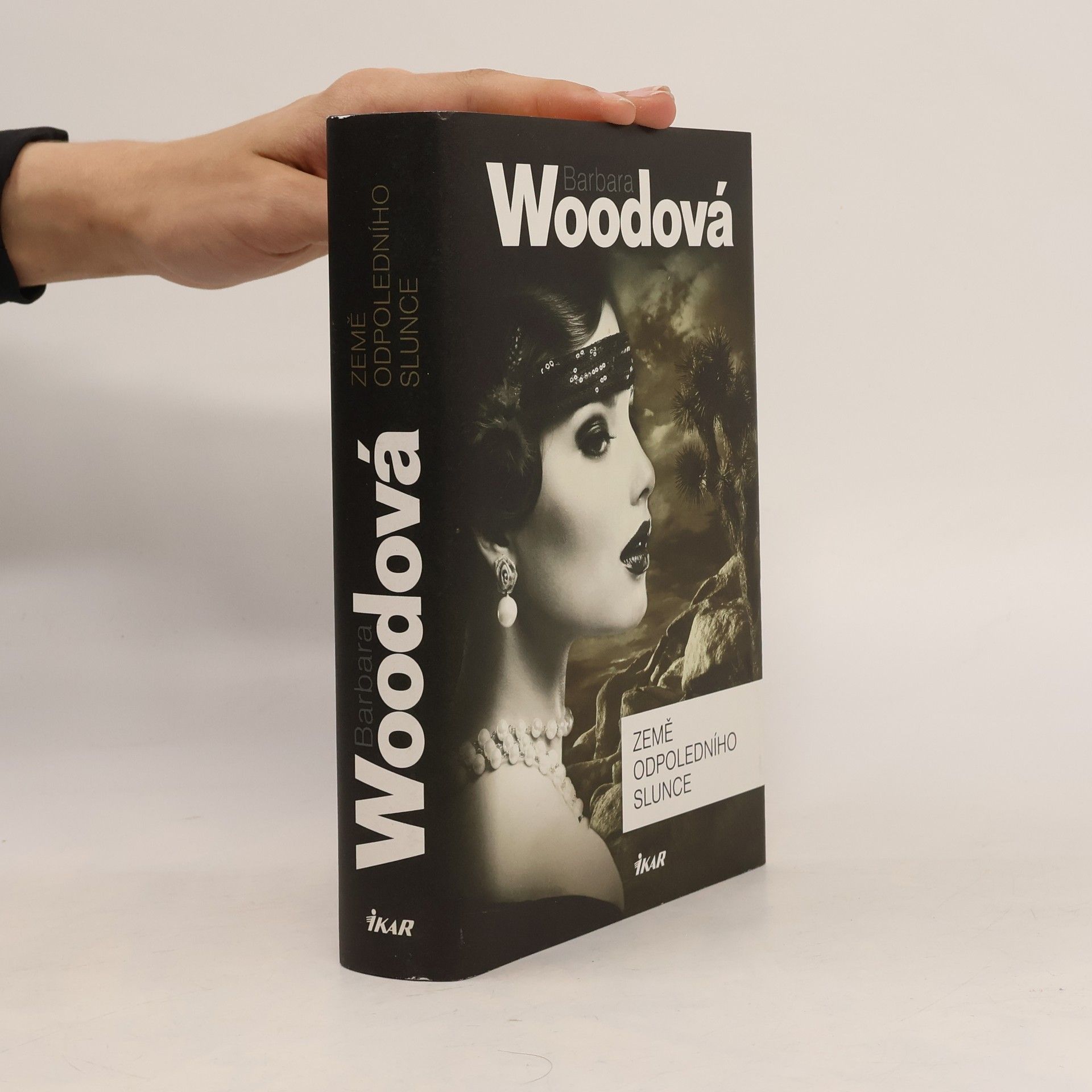 Barbara Wood Země odpoledního slunce