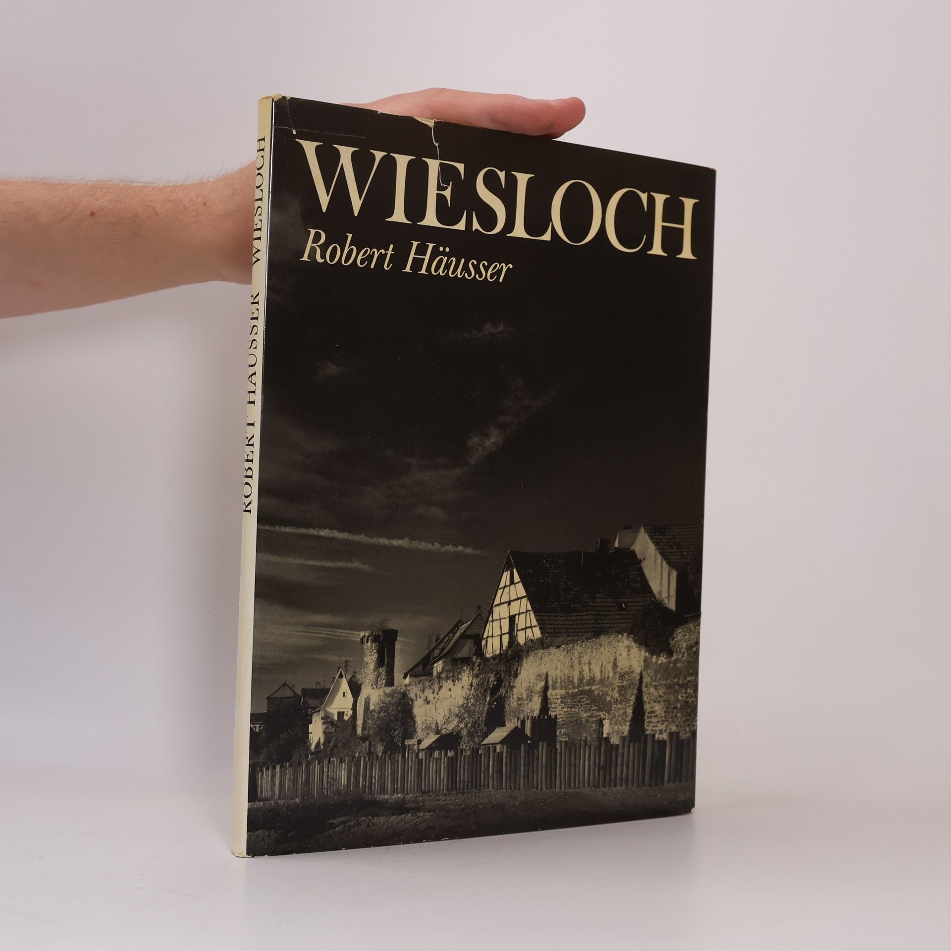 Robert Hausser Wiesloch