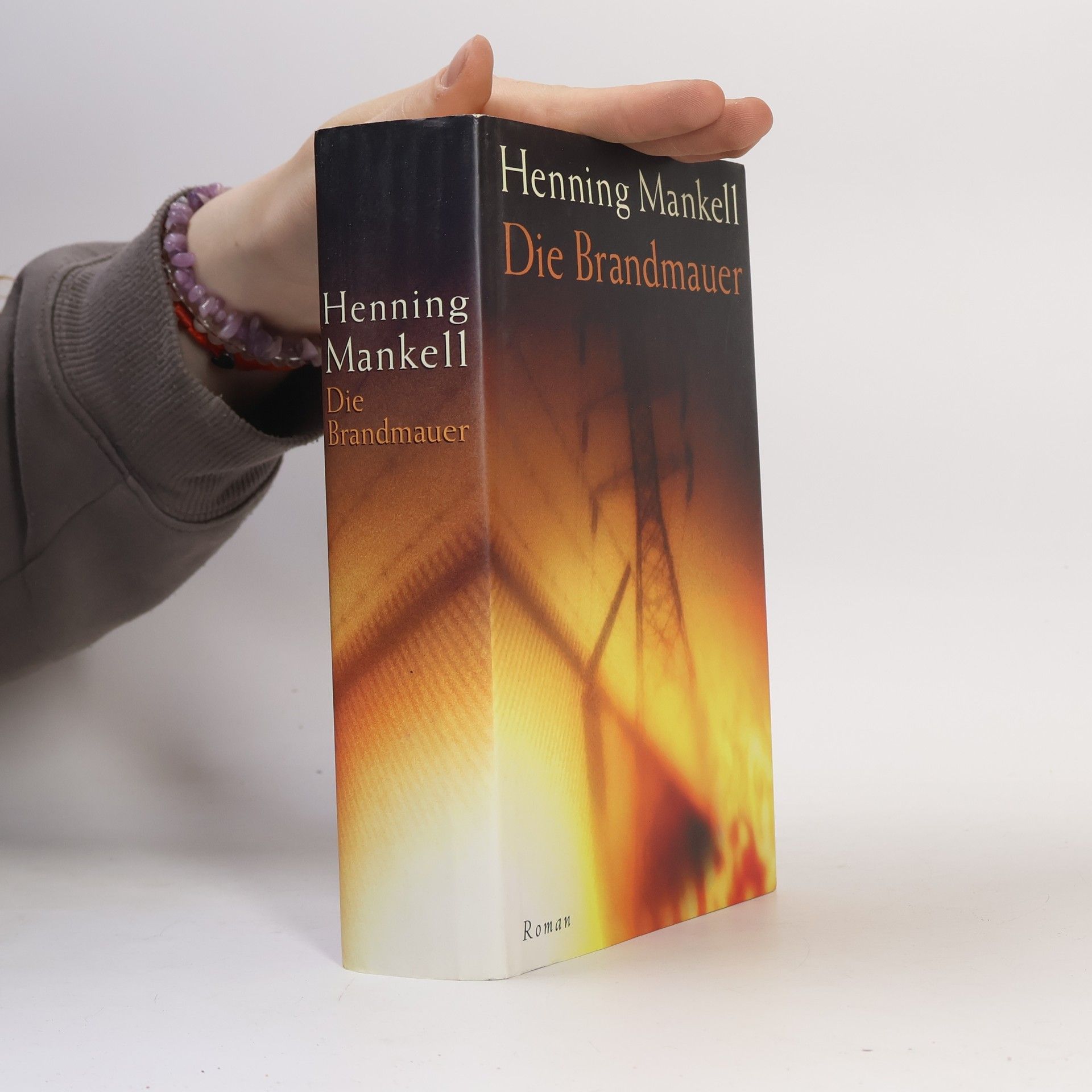 Henning Mankell Die Brandmauer