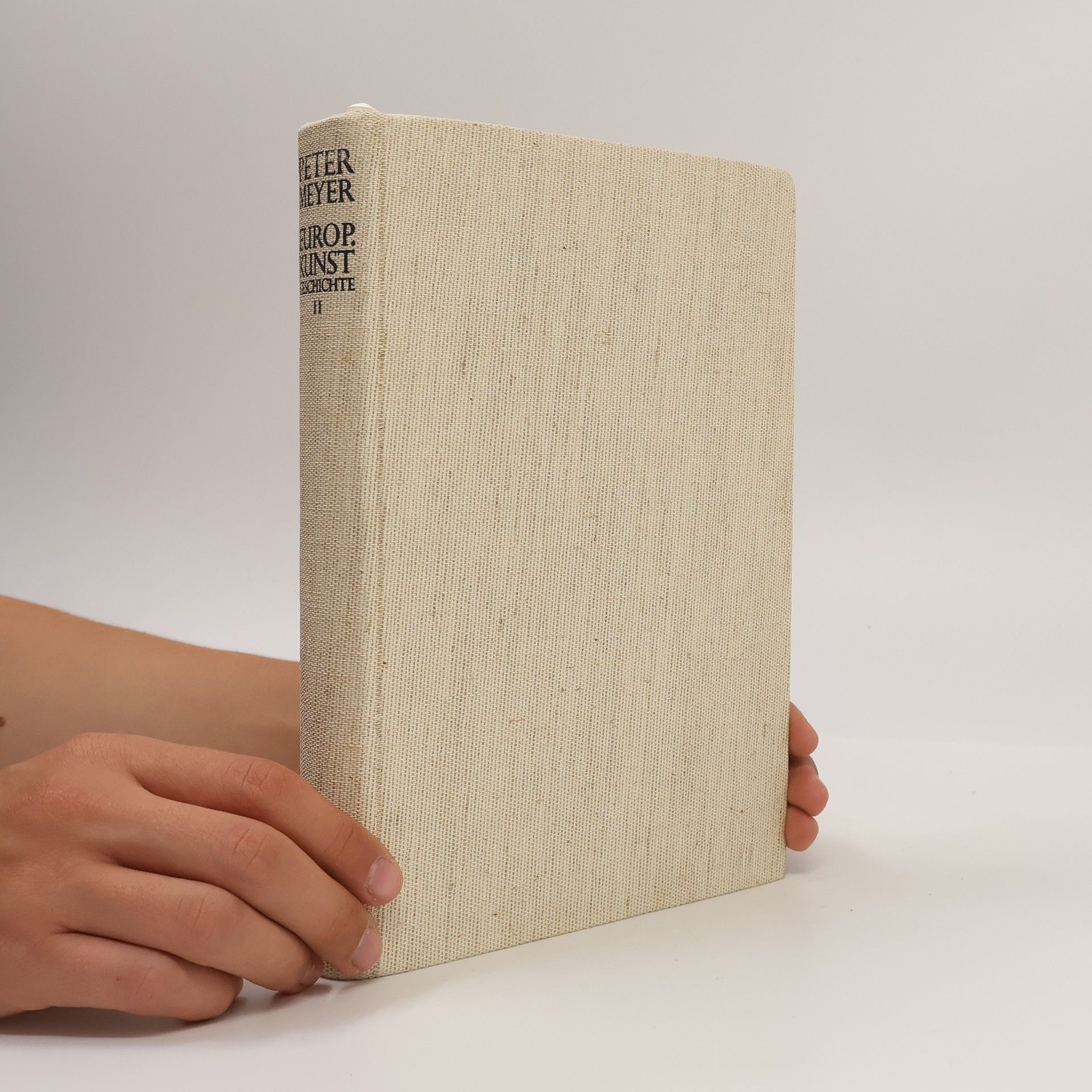 Peter Meyer Europäische Kunstgeschichte II.