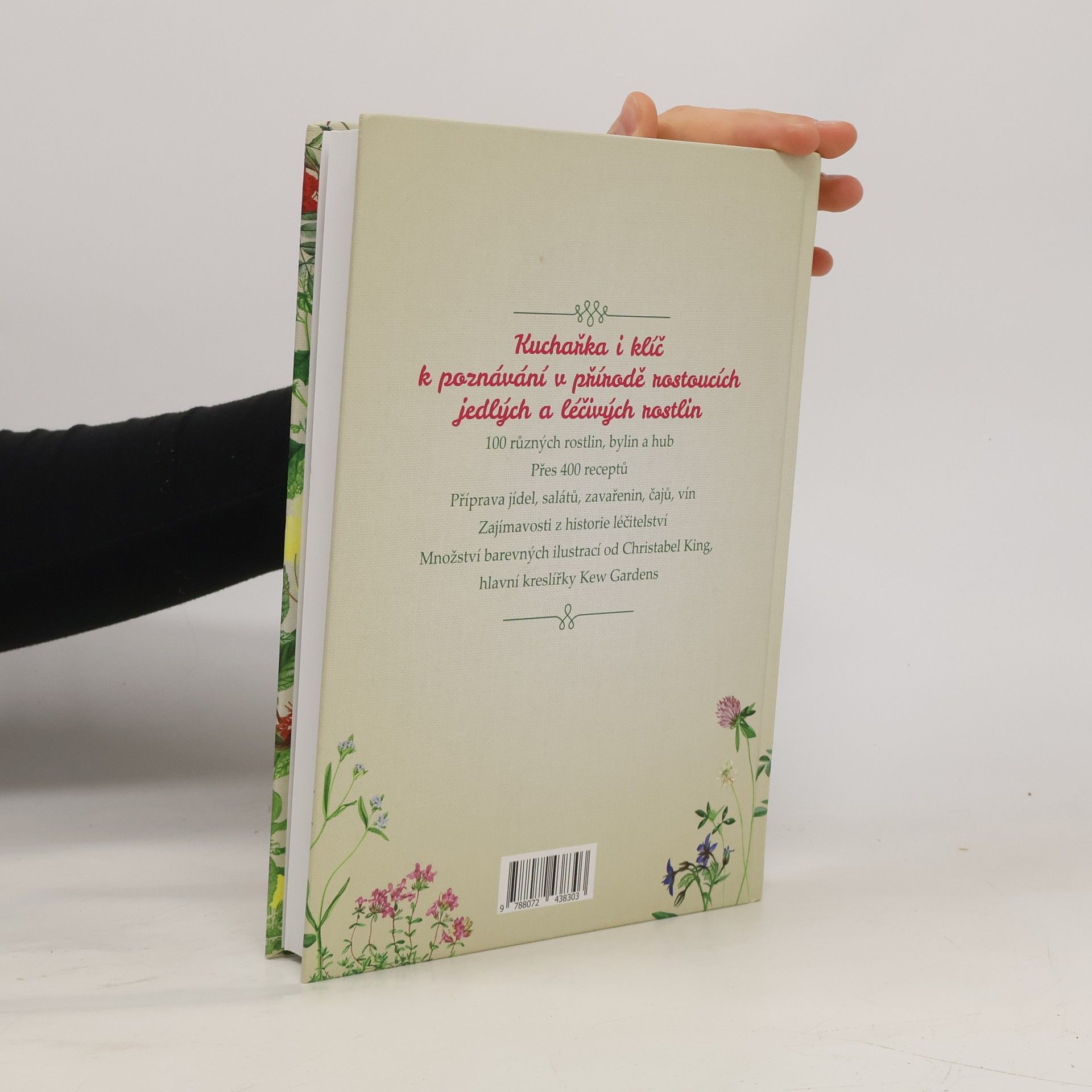 Pamela Michael Bylinková kuchařka - Jedlé a léčivé rostliny a byliny