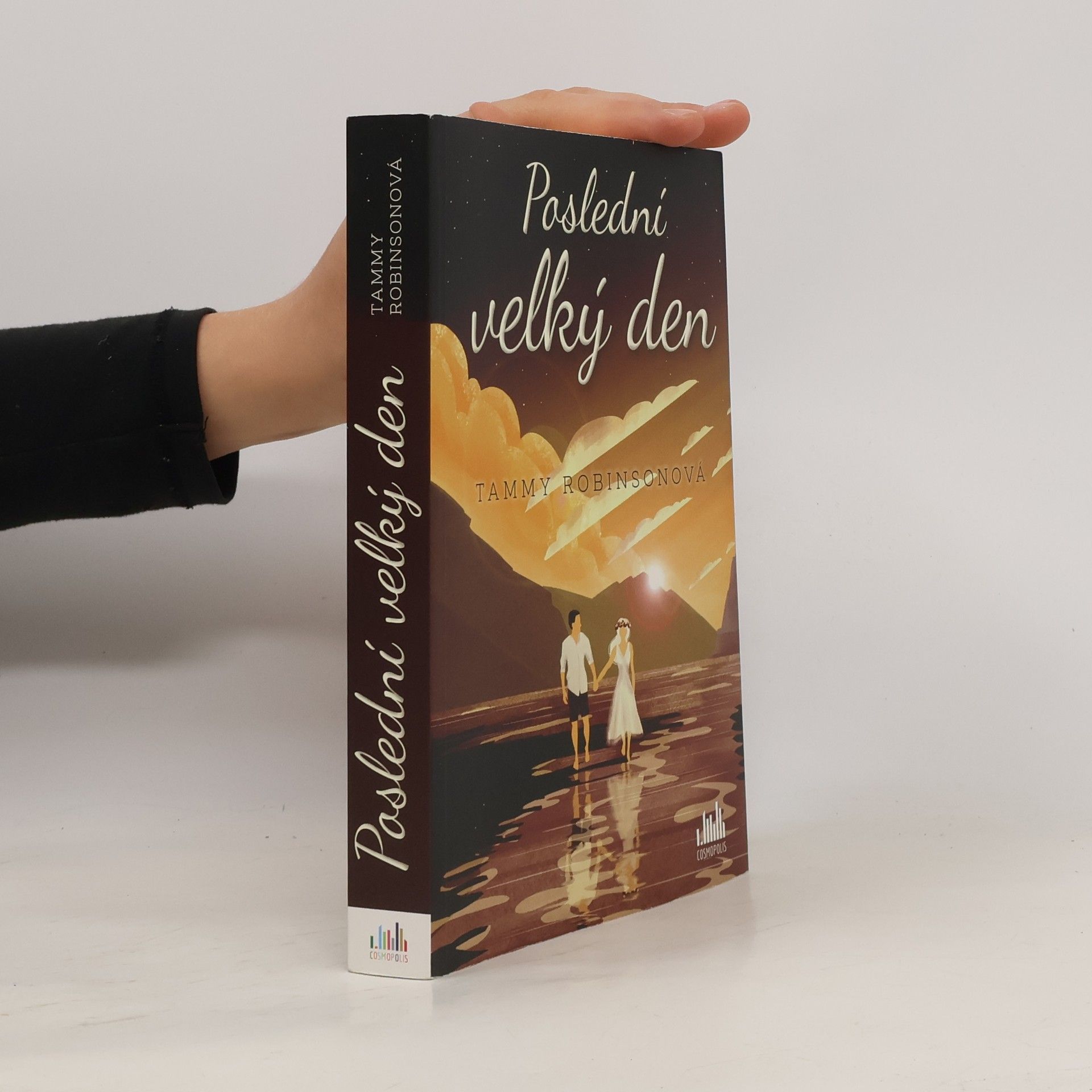 Tammy Robinson Poslední velký den