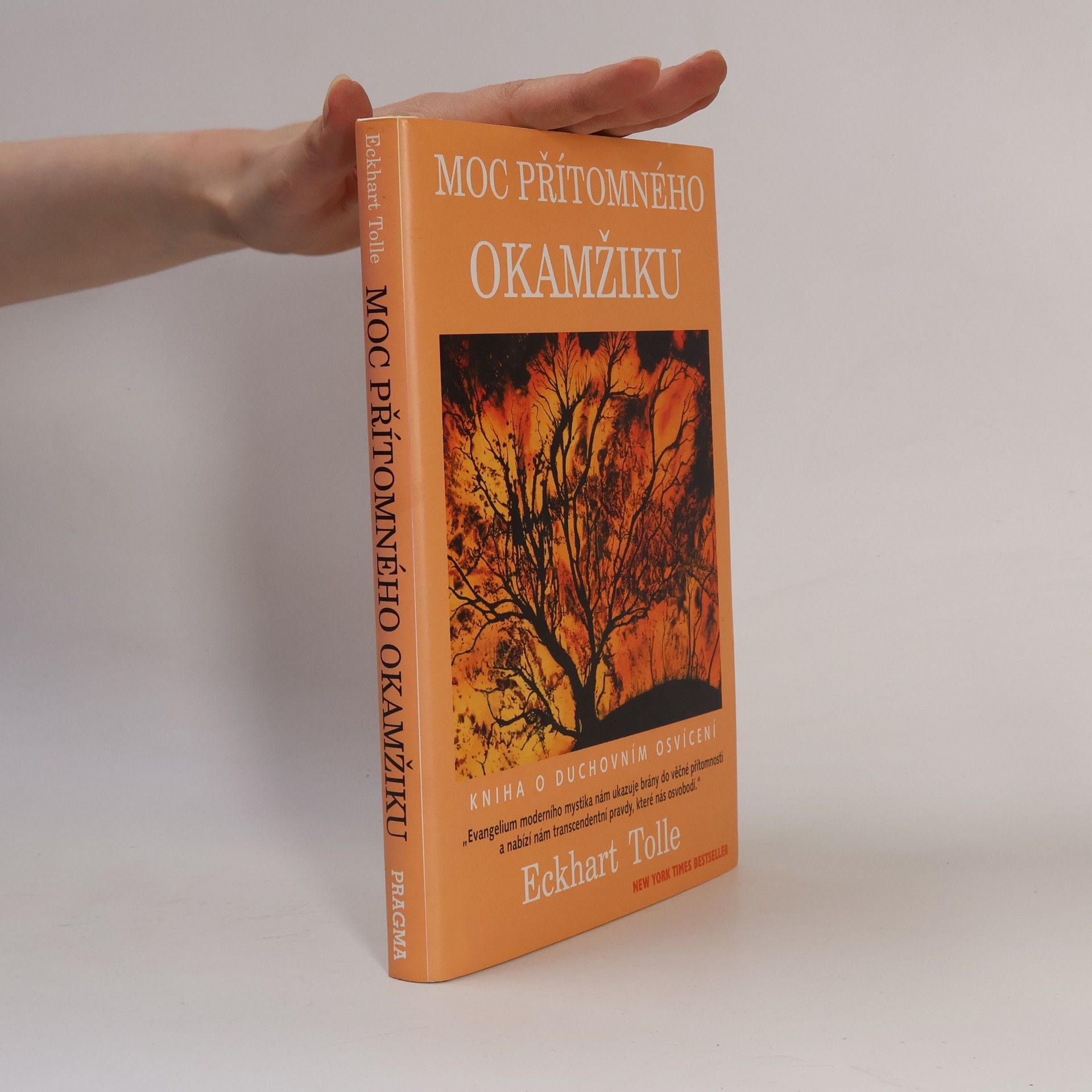 Eckhart Tolle Moc přítomného okamžiku