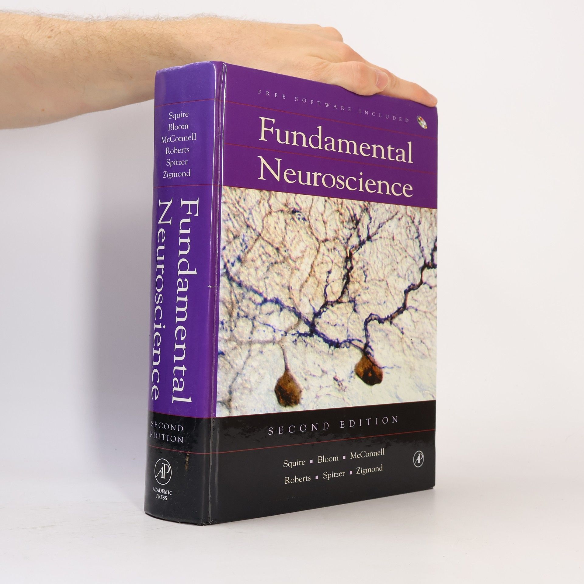 Fundamental Neuroscience