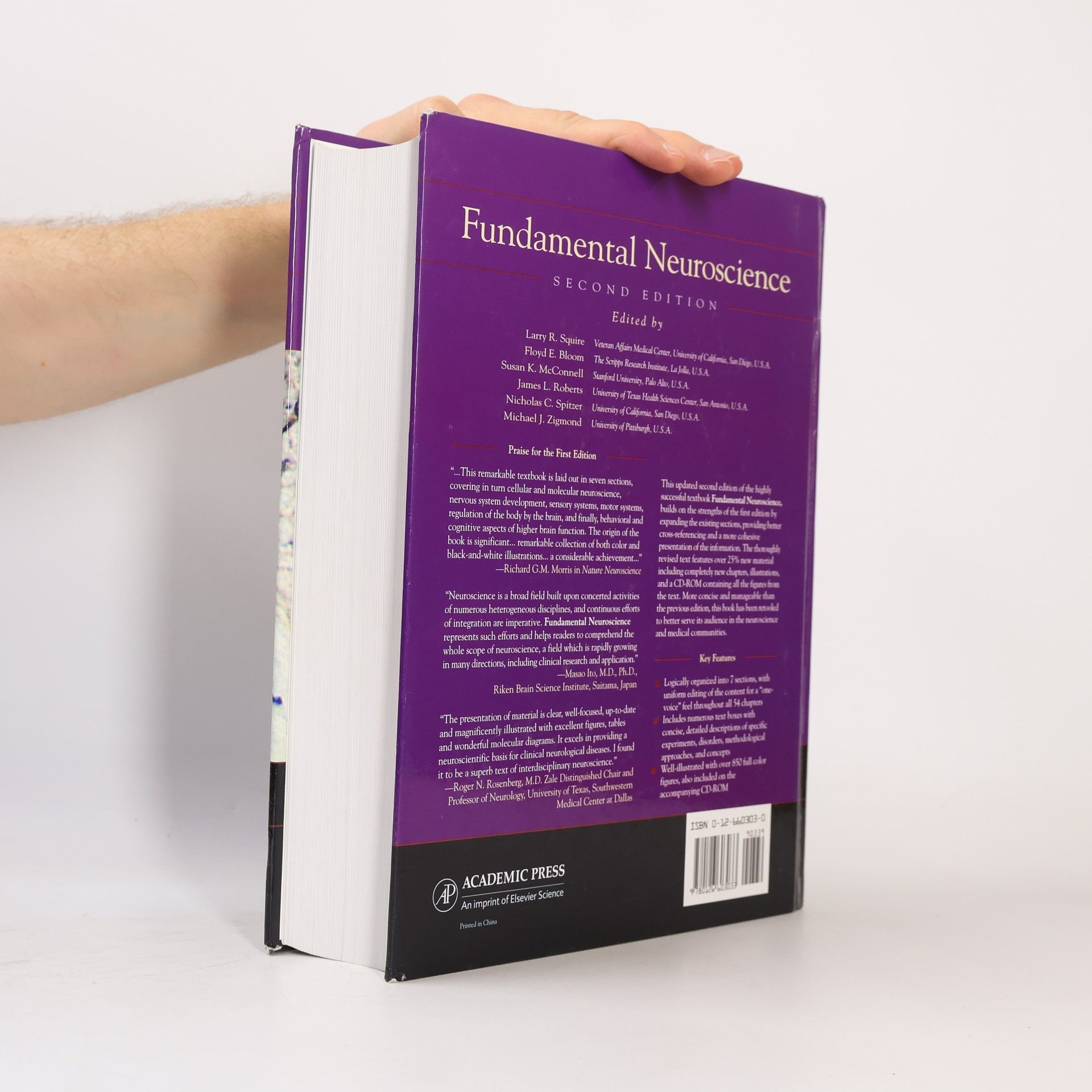 Larry R. Squire Fundamental Neuroscience