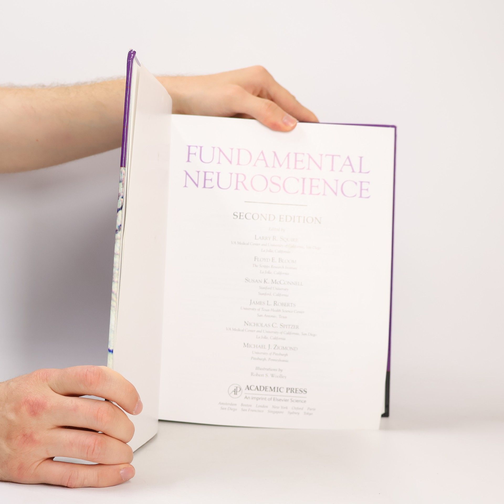 Larry R. Squire Fundamental Neuroscience
