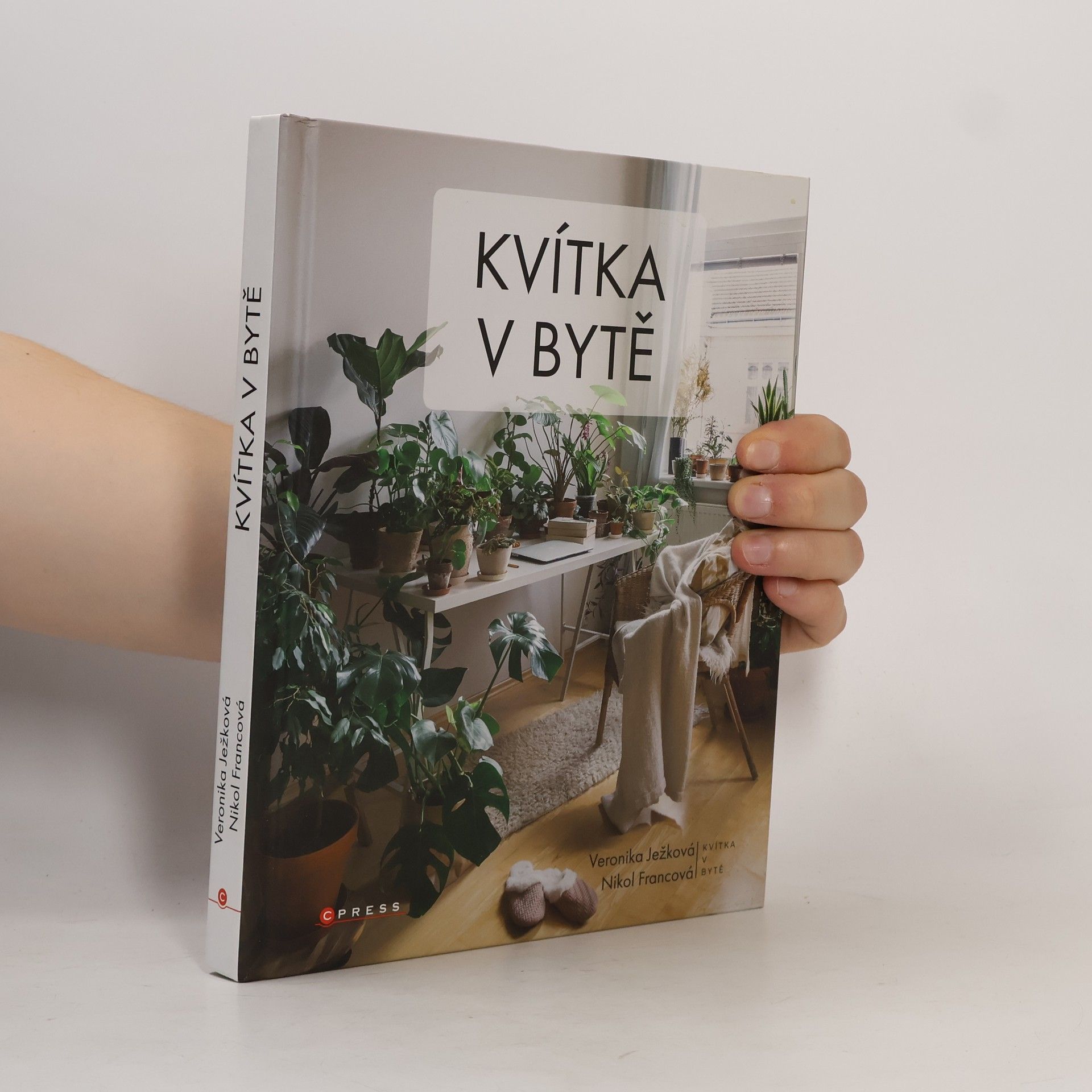 Veronika Ježková Kvítka v bytě